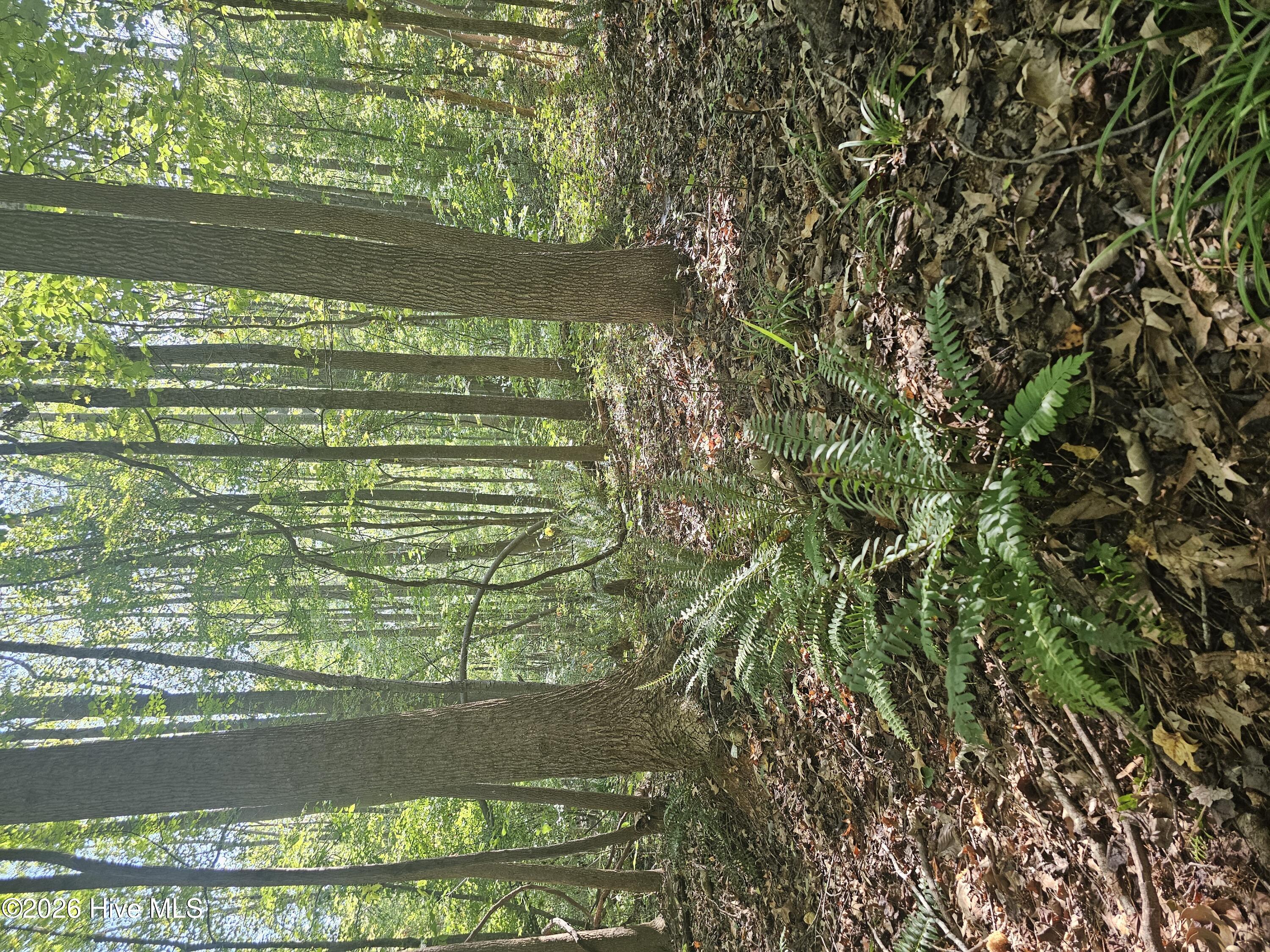 0 Off Old County Home Road Property Photo 1