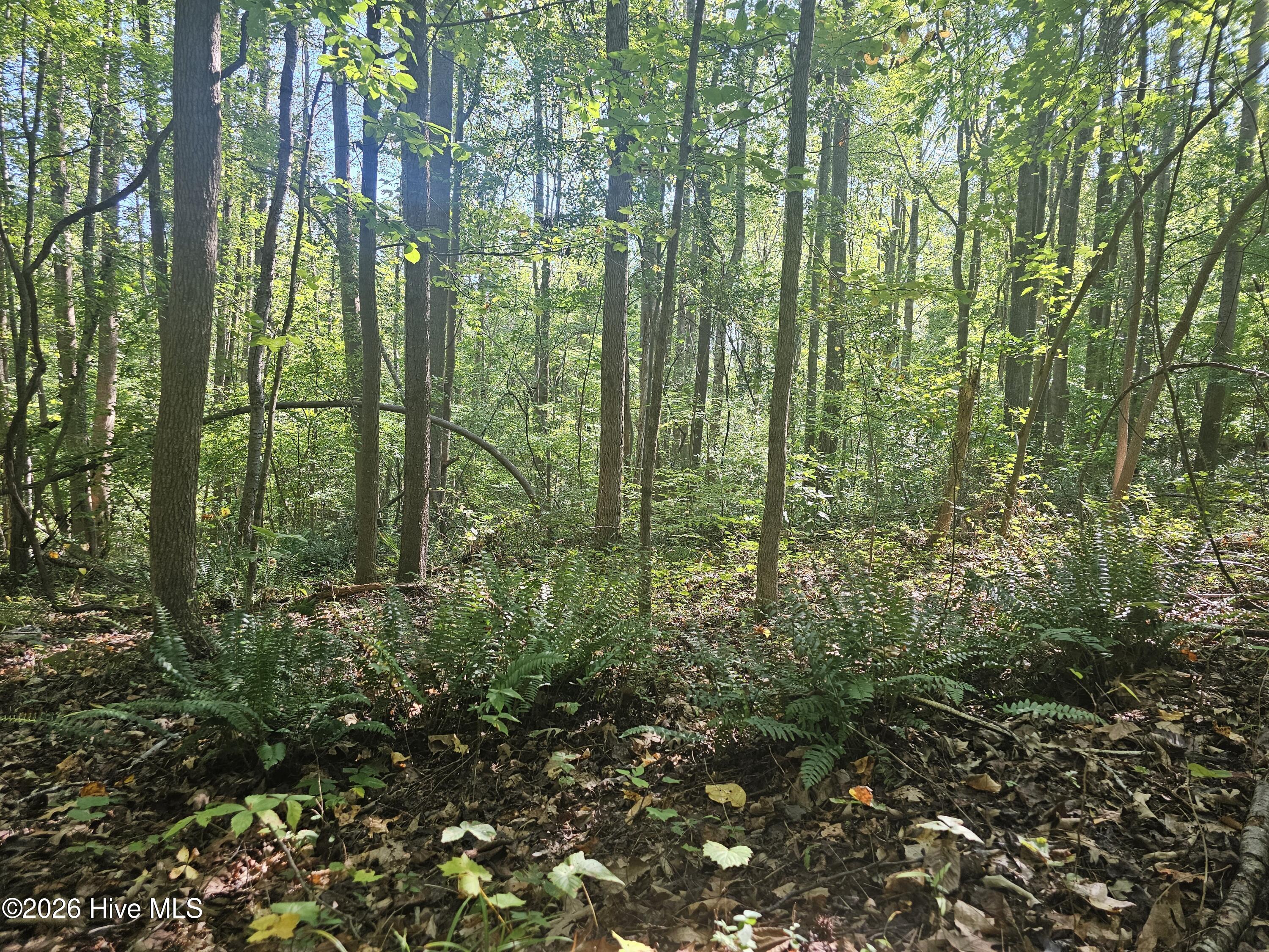 0 Off Old County Home Road Property Photo 2