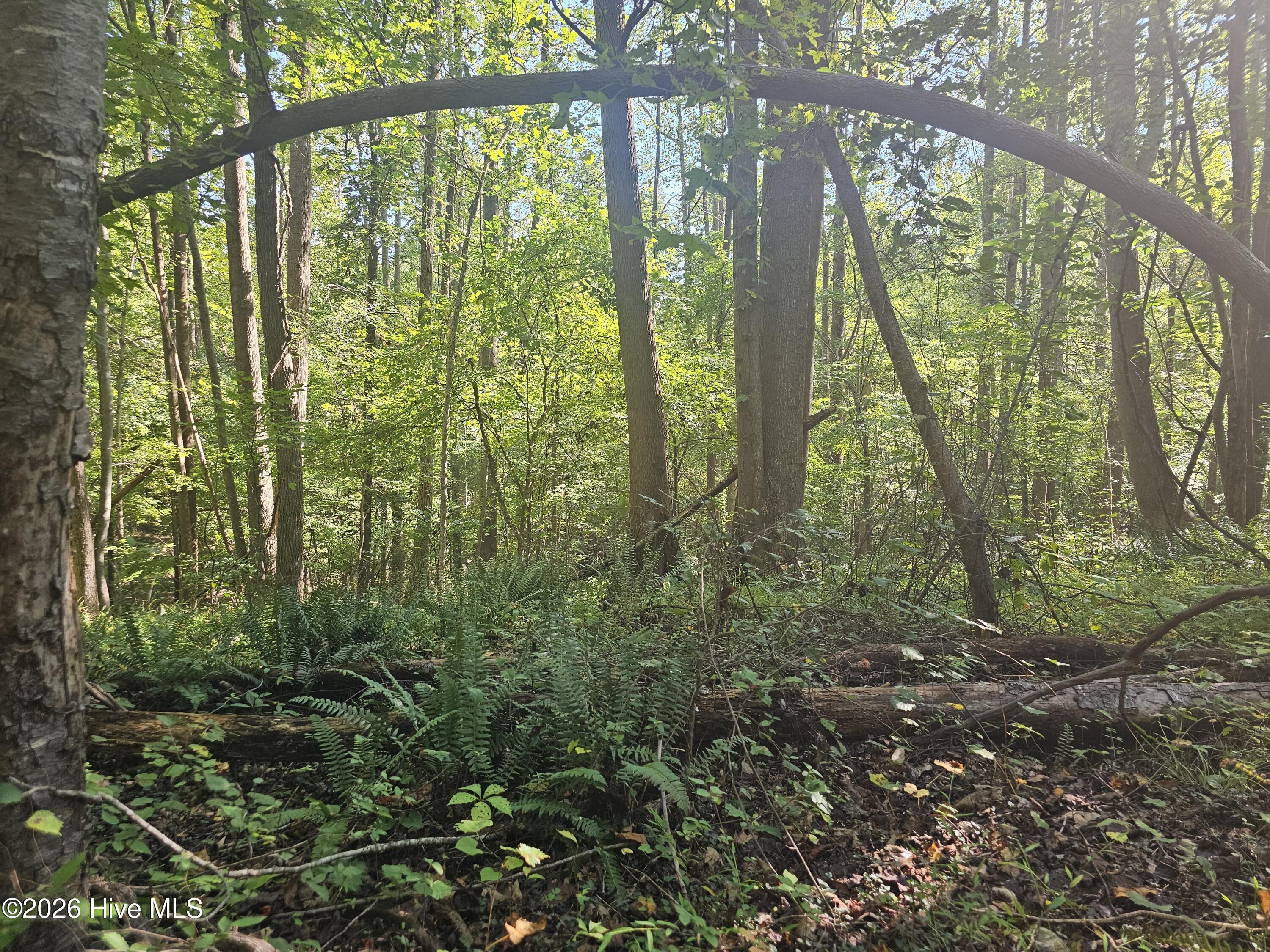 0 Off Old County Home Road Property Photo 3