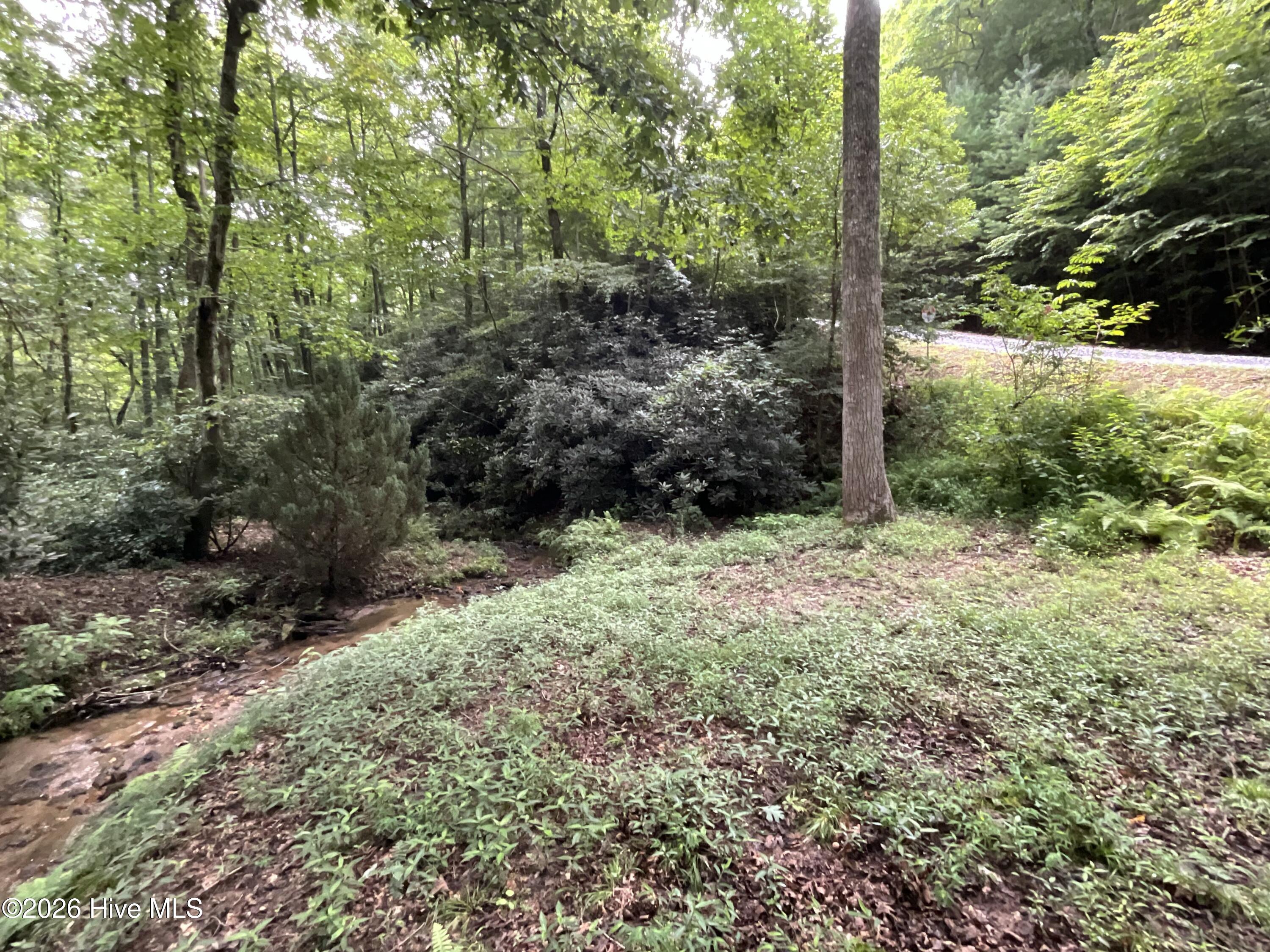 440 Rocky Springs Lane Property Photo 42