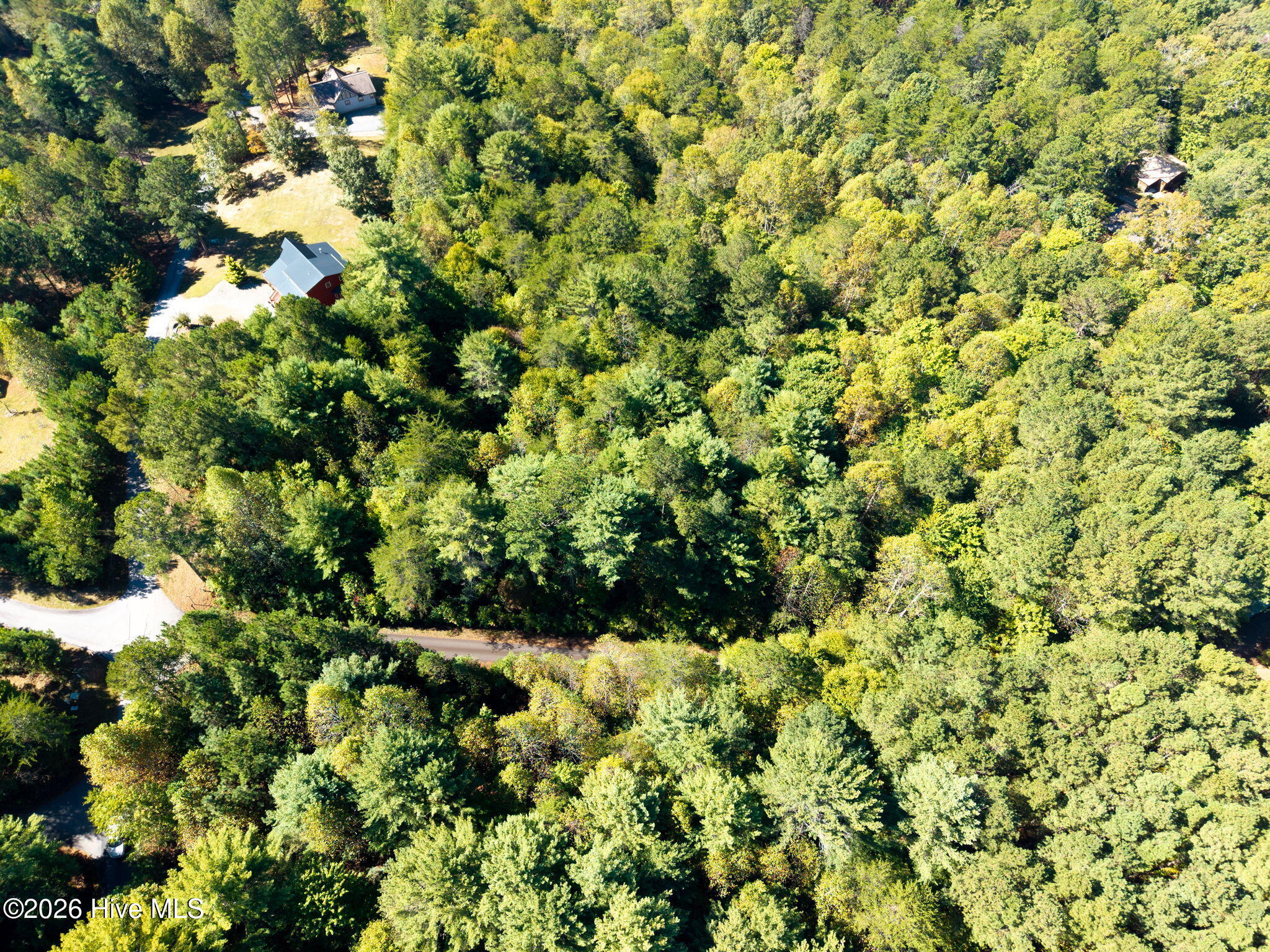 71 Nature Trail Property Photo 11