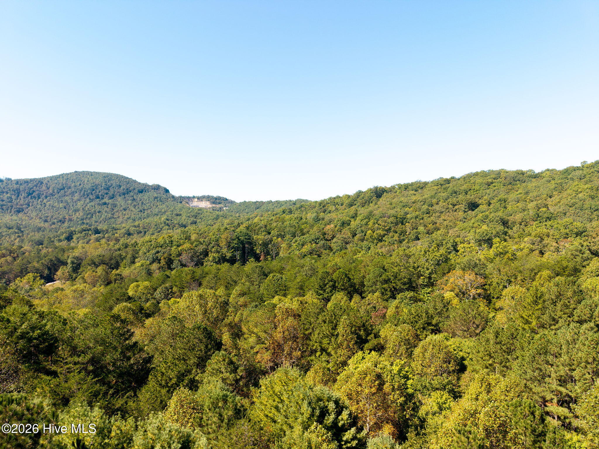 71 Nature Trail Property Photo 15