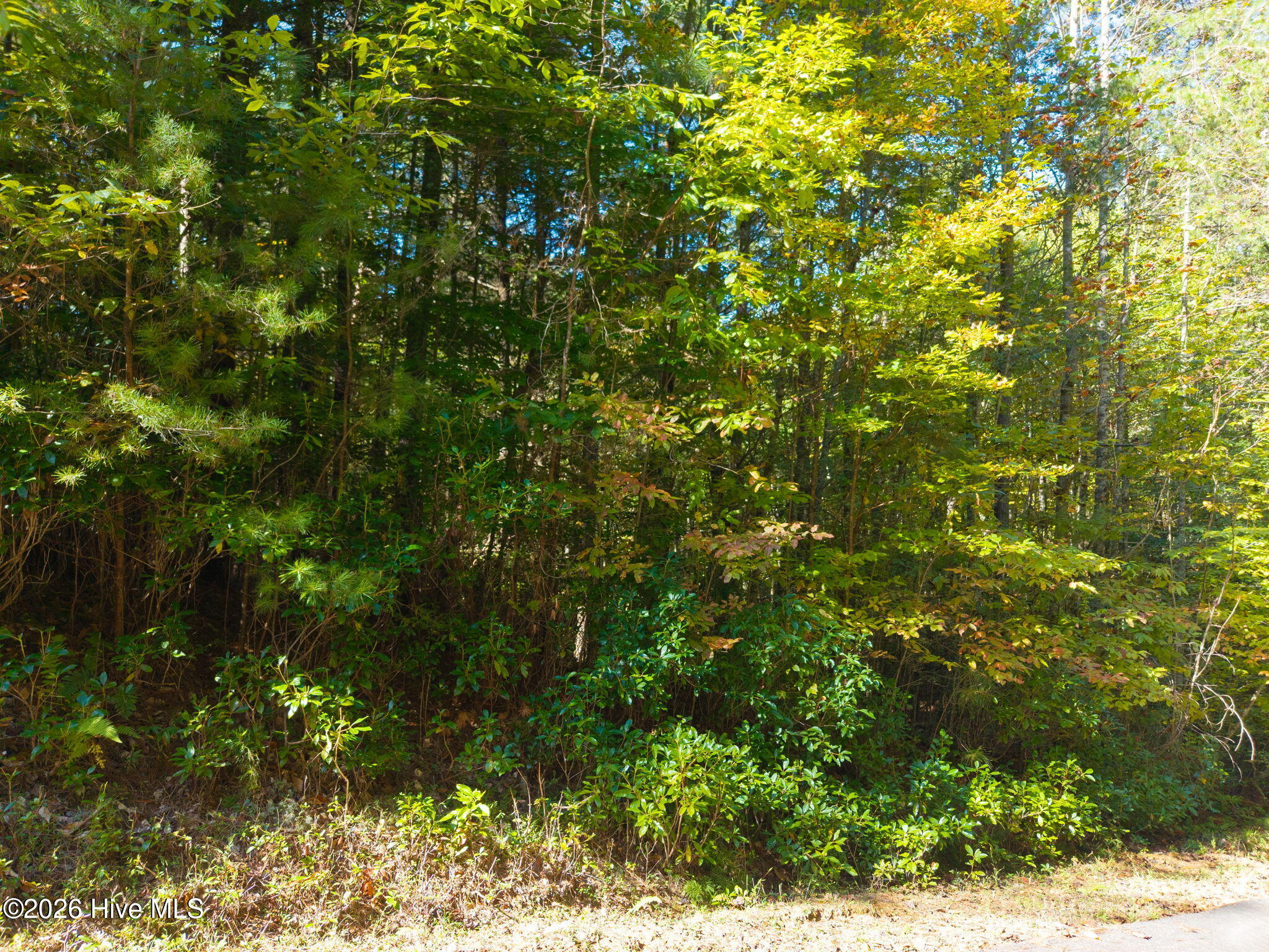 71 Nature Trail Property Photo 18