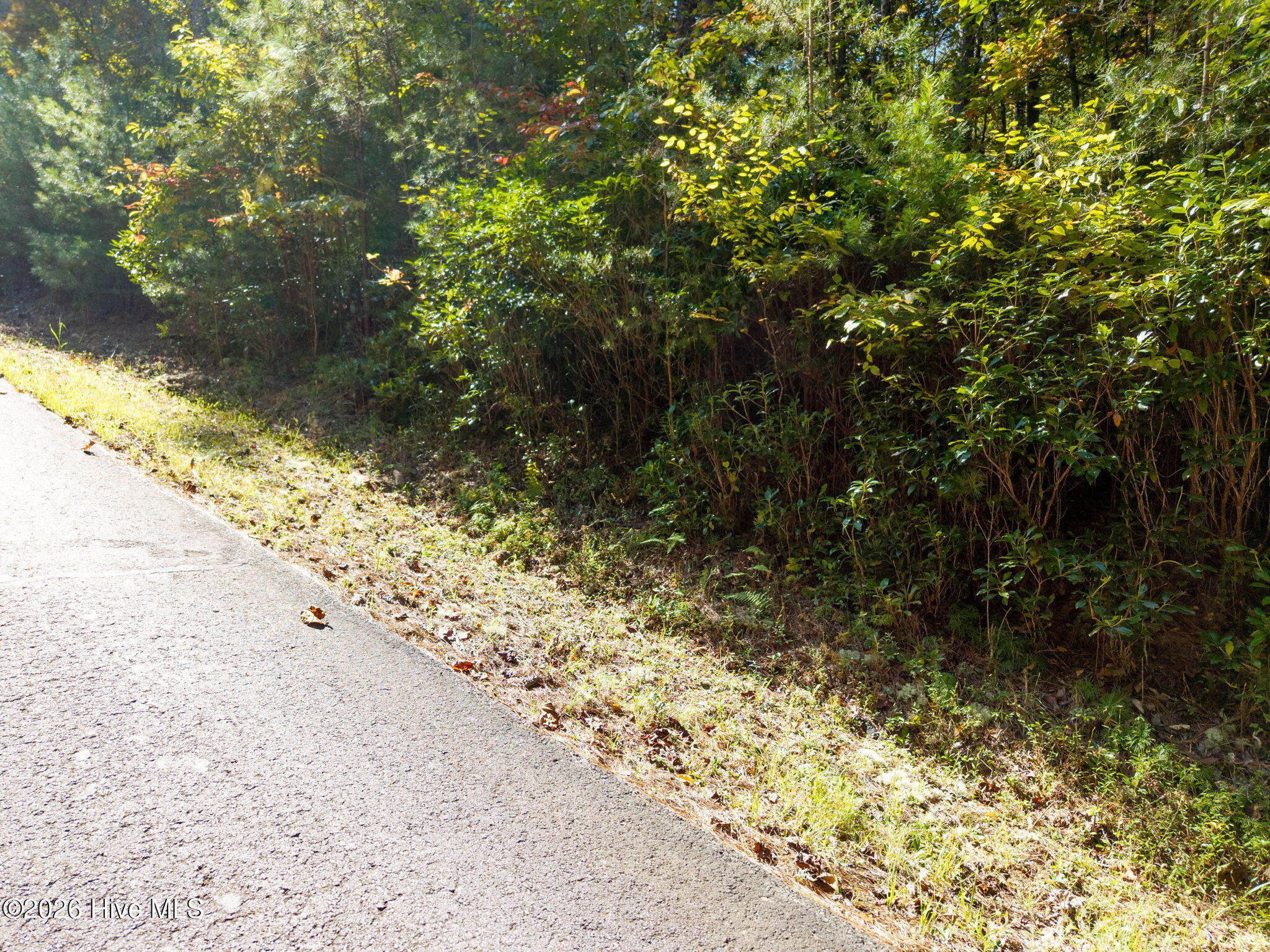 71 Nature Trail Property Photo 19