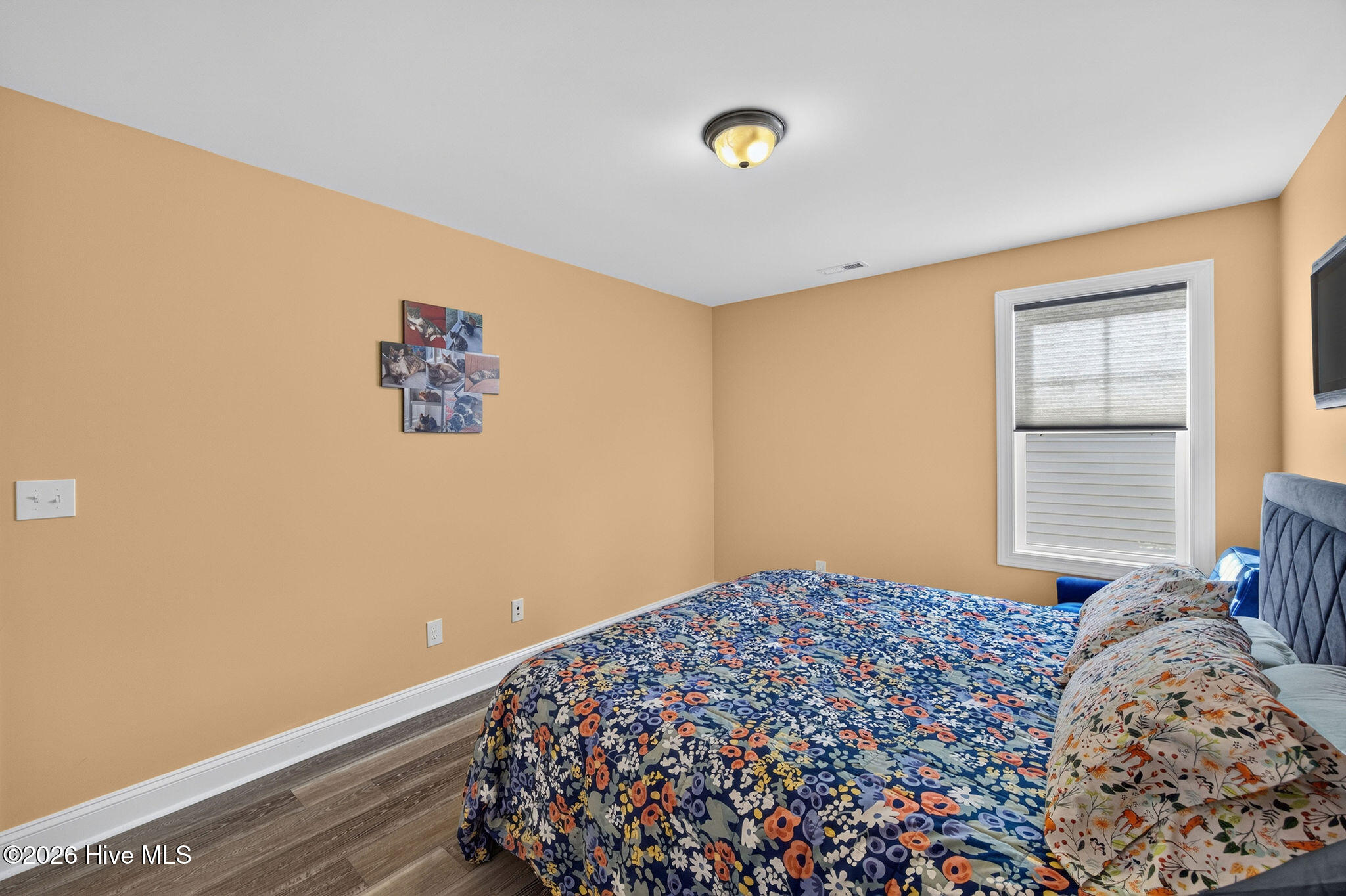 3754 Spicetree Drive Property Photo 37