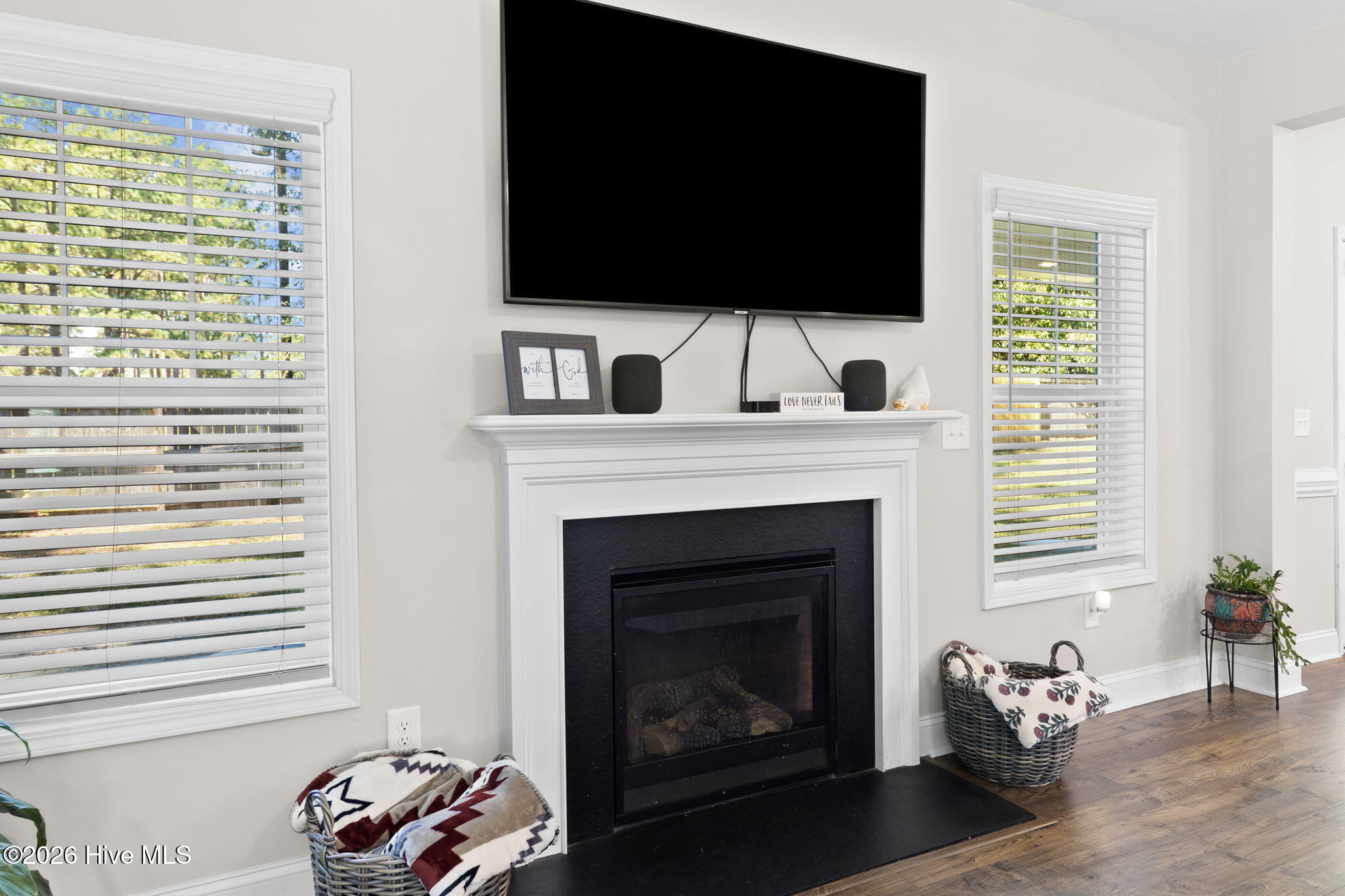 101 Carousel Street Property Photo 21