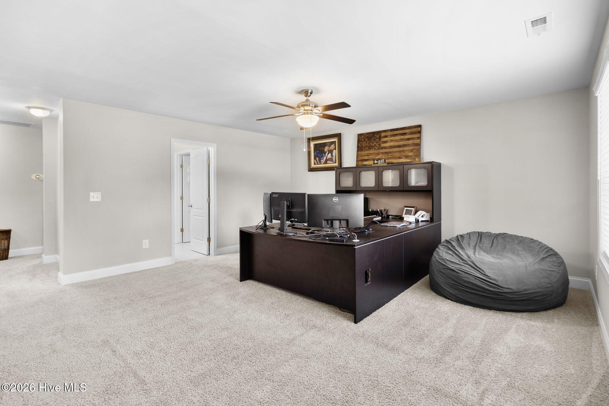 101 Carousel Street Property Photo 33