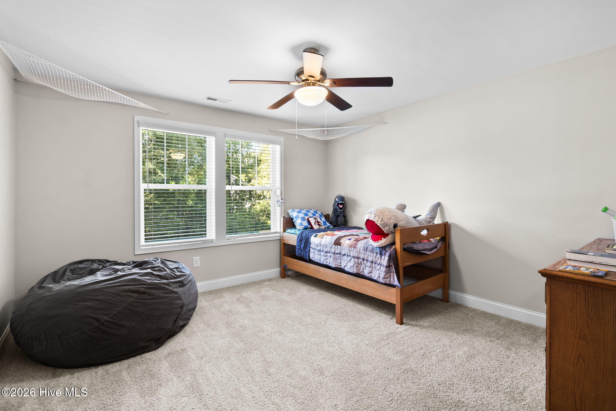 101 Carousel Street Property Photo 38