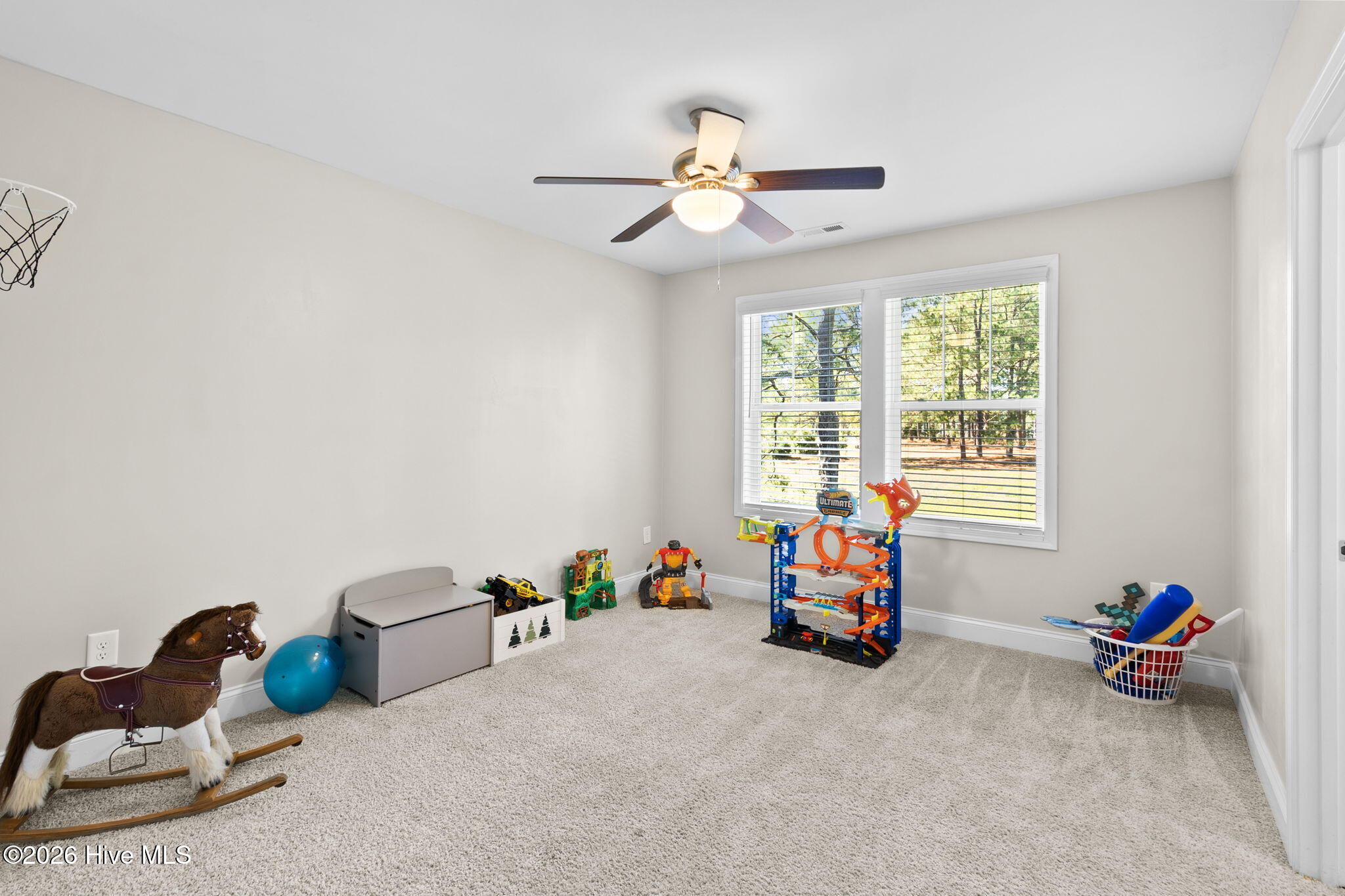 101 Carousel Street Property Photo 40