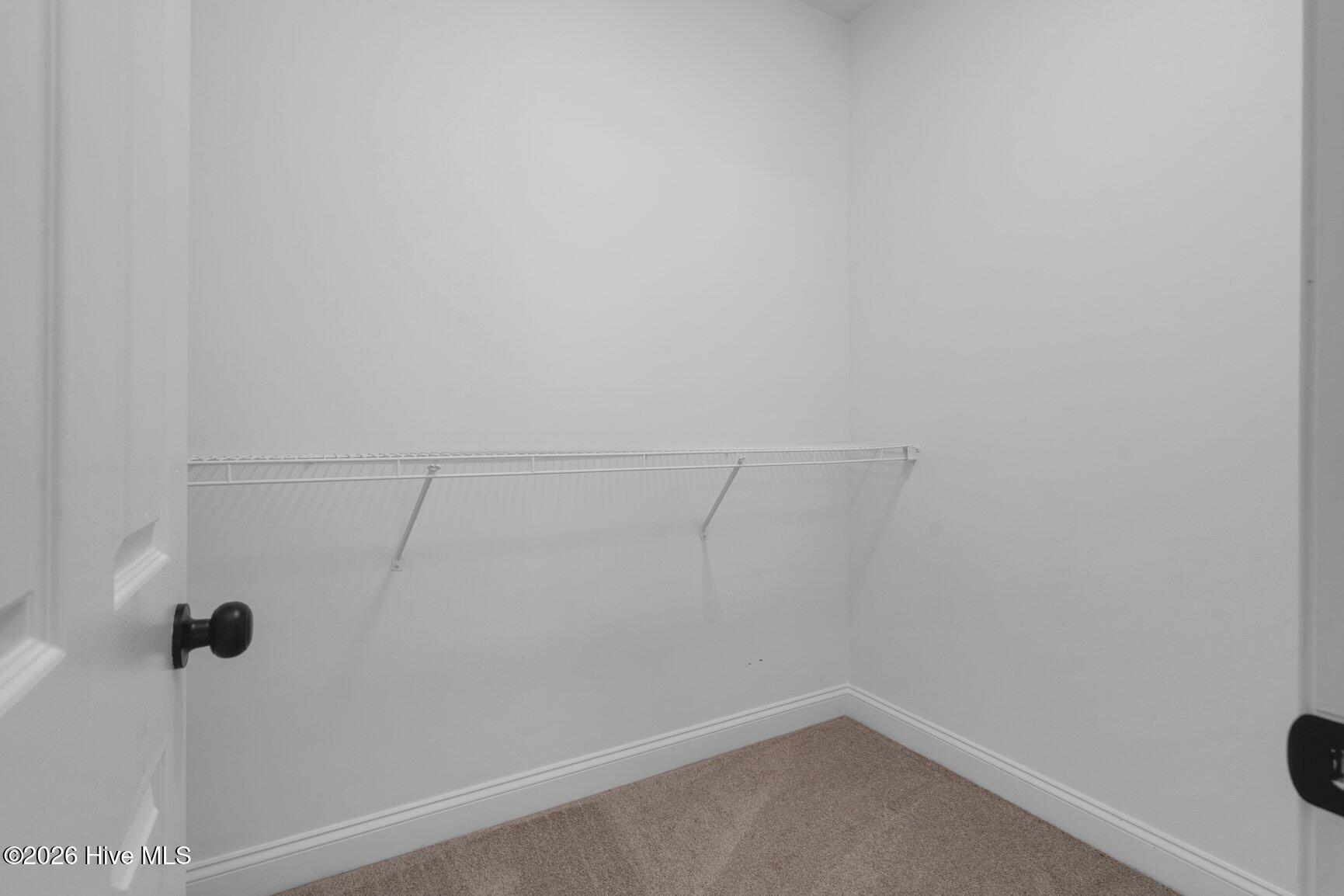 8453 Carter Grove Drive Property Photo 32