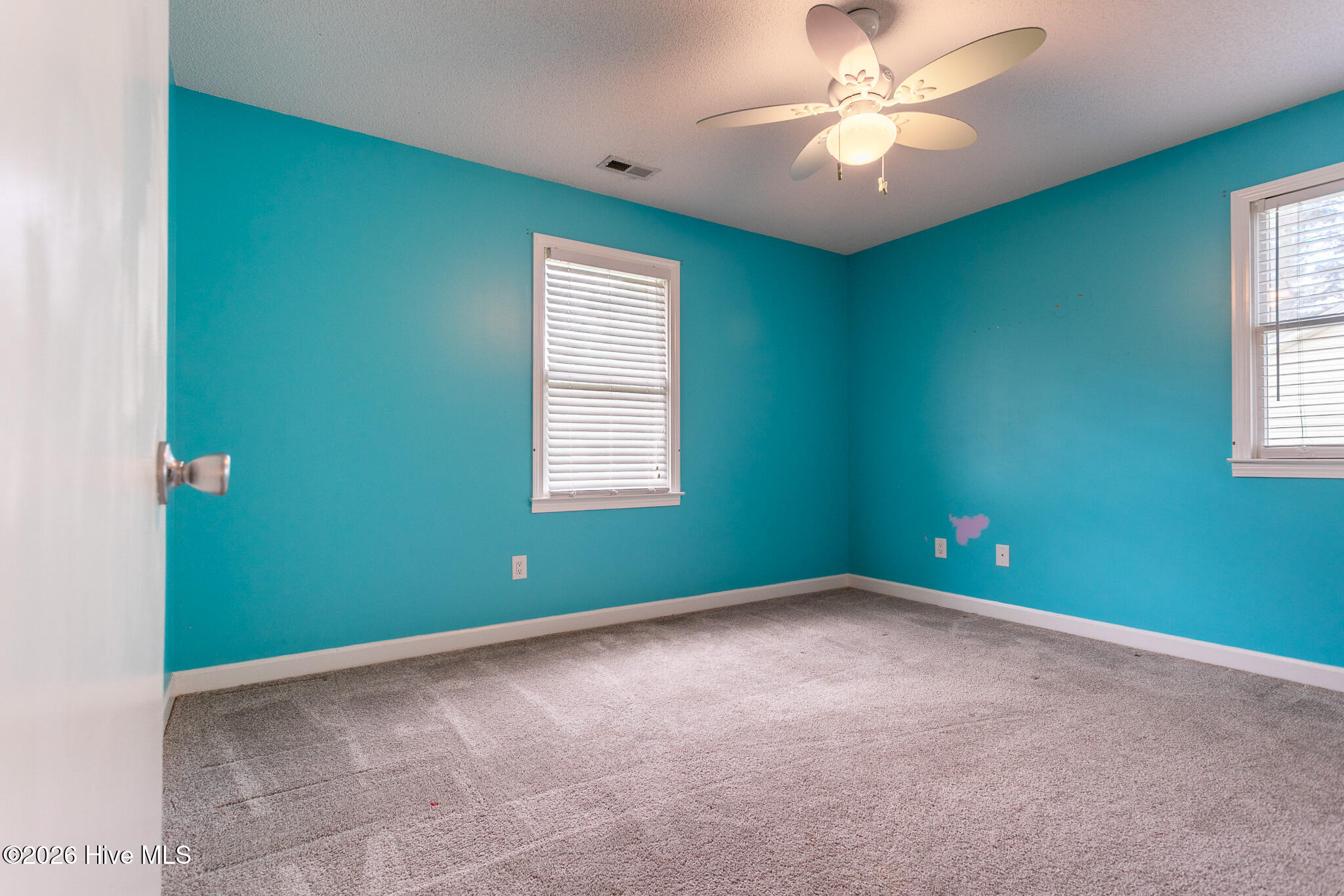115 Stacie Drive Property Photo 21