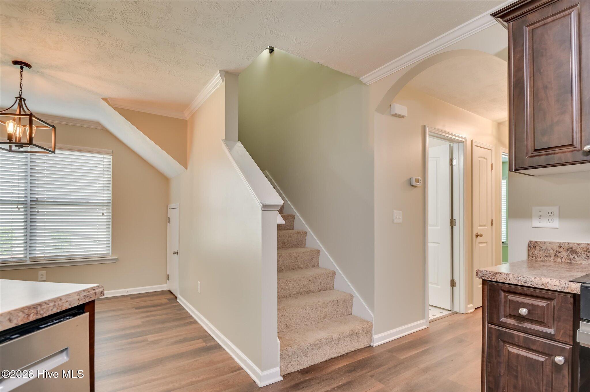 281 Lynbrook Way Property Photo 35