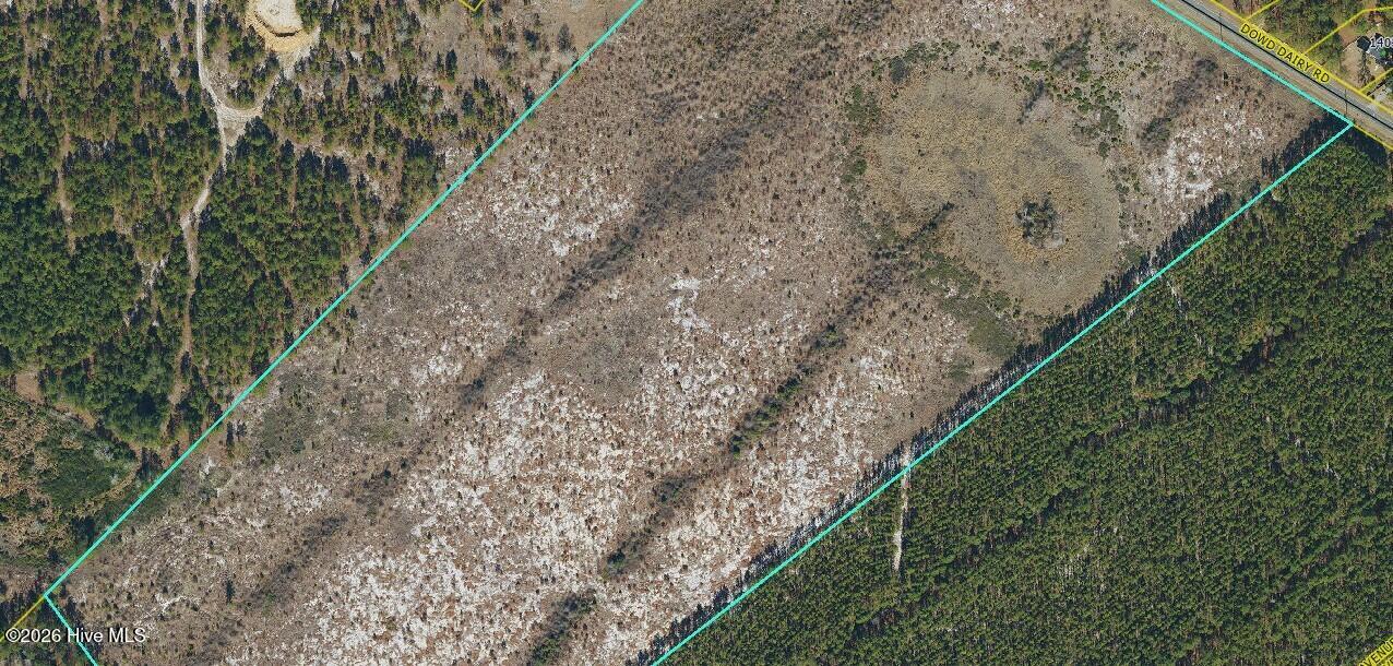 Tbd 1 Dowd Dairy Road Property Photo 1