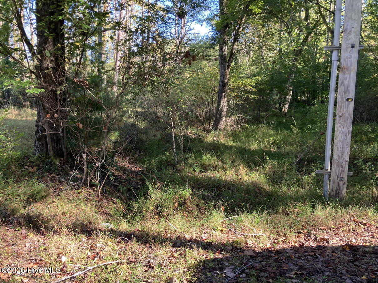 6 6 Rushing Water Trail Property Photo 3