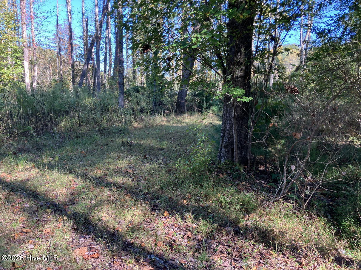 6 6 Rushing Water Trail Property Photo 4