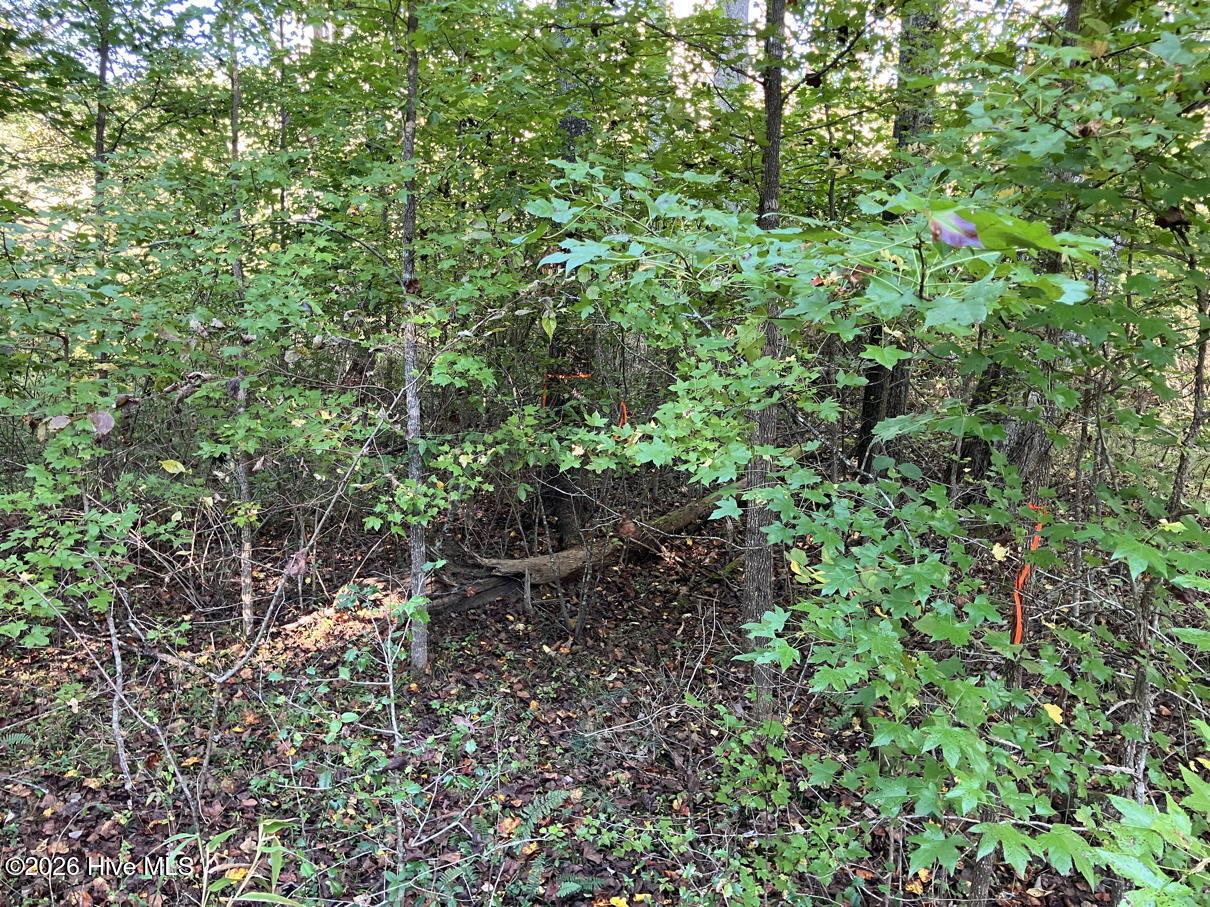 6 6 Rushing Water Trail Property Photo 5