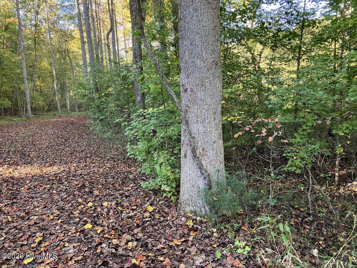 6 6 Rushing Water Trail Property Photo 6