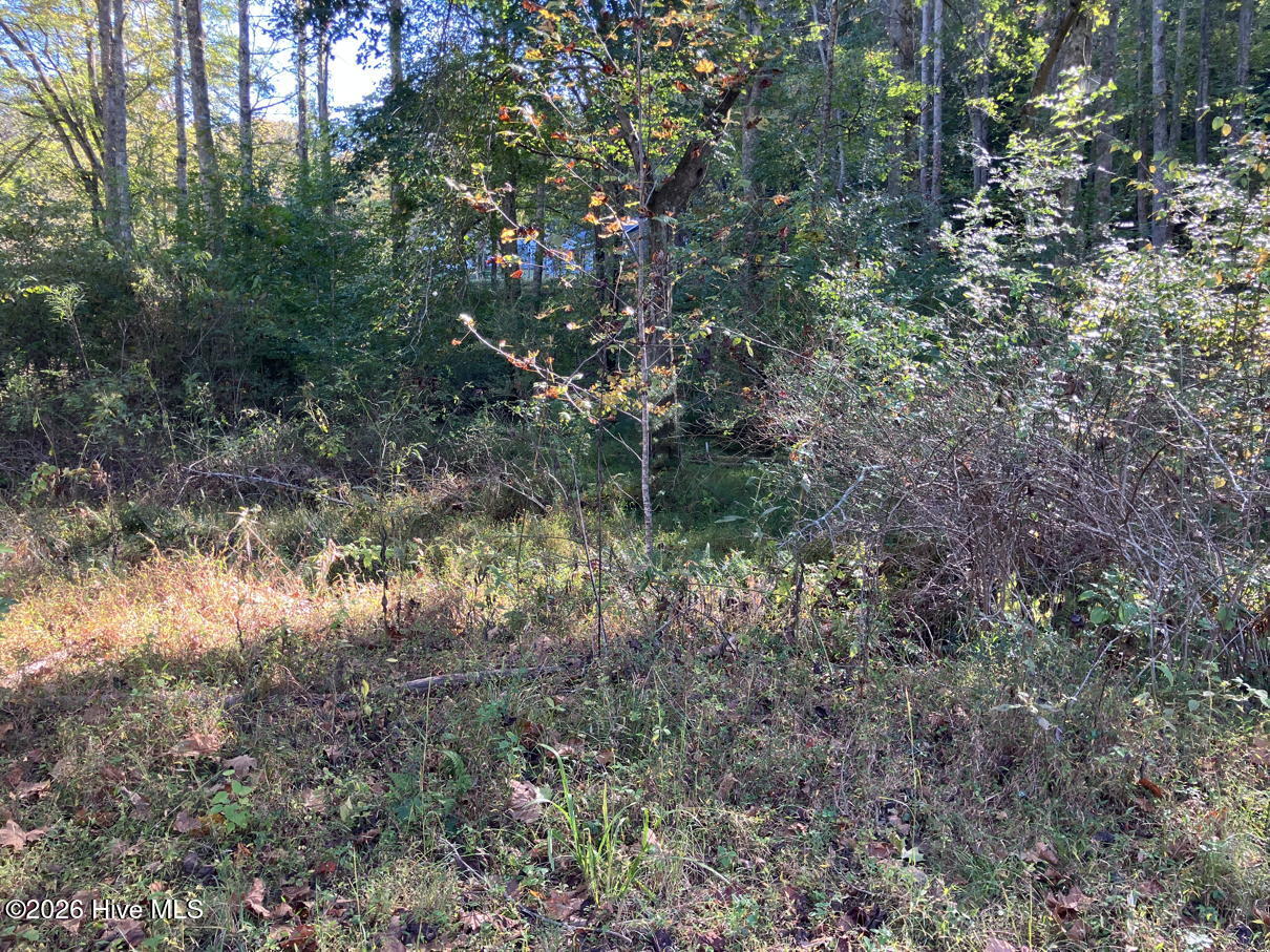 6 6 Rushing Water Trail Property Photo 8