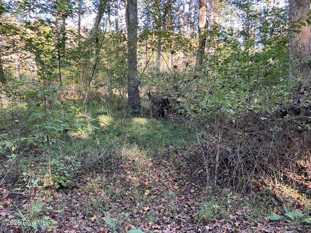 6 6 Rushing Water Trail Property Photo 9