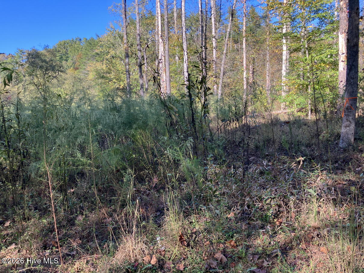 6 6 Rushing Water Trail Property Photo 10