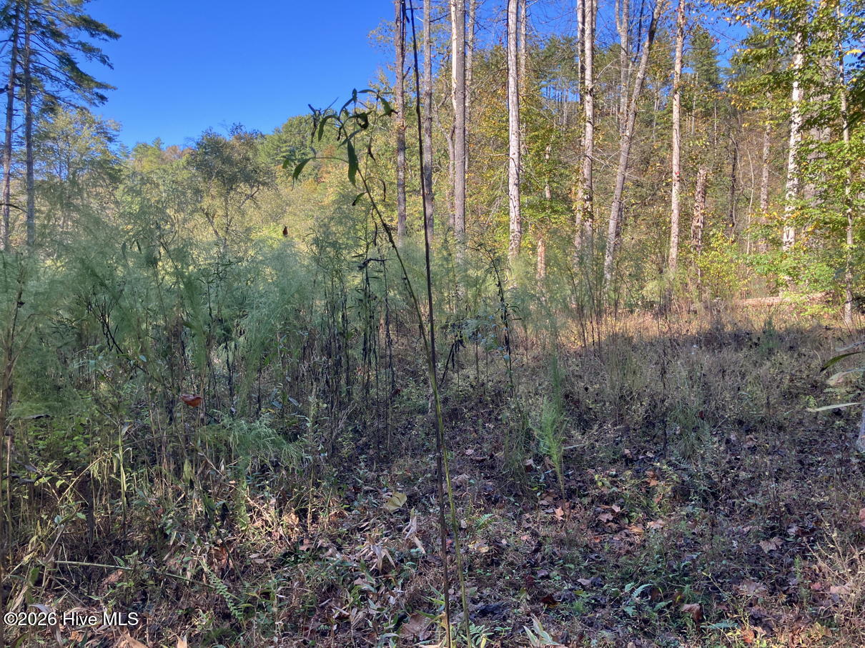 6 6 Rushing Water Trail Property Photo 11