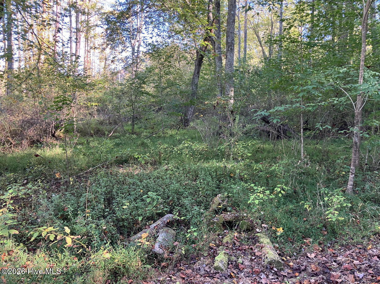 6 6 Rushing Water Trail Property Photo 12
