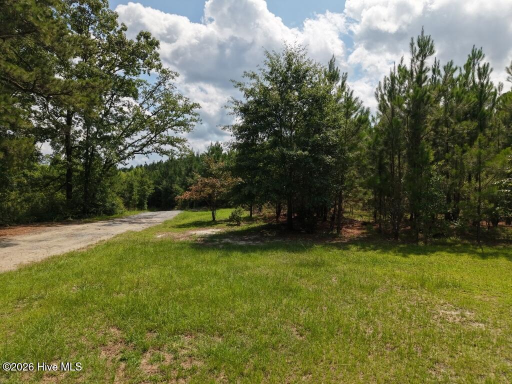 1581 Doubs Chapel Road Property Photo 5