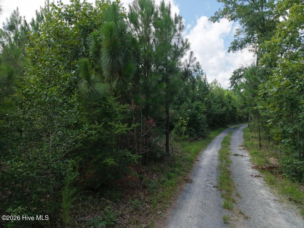 1581 Doubs Chapel Road Property Photo 6