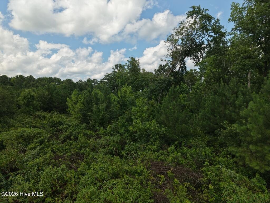 1581 Doubs Chapel Road Property Photo 7