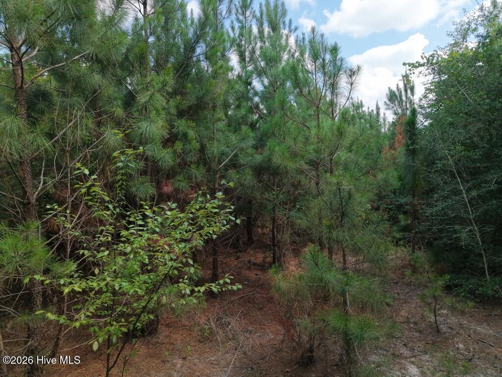 1581 Doubs Chapel Road Property Photo 8