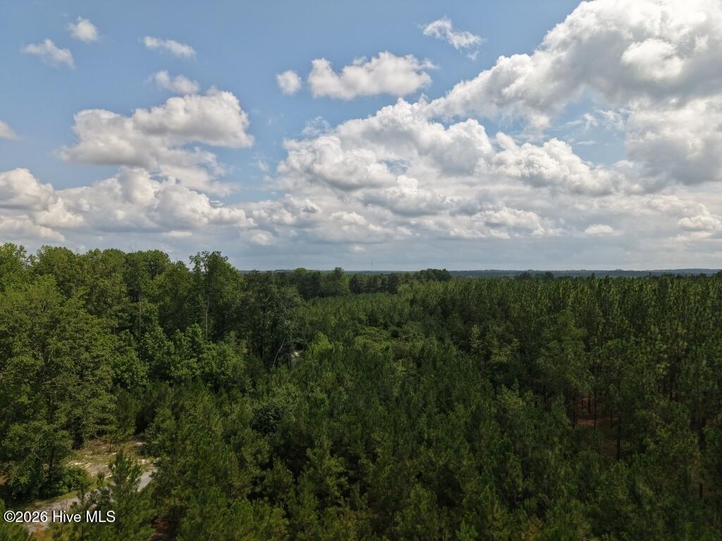1581 Doubs Chapel Road Property Photo 9