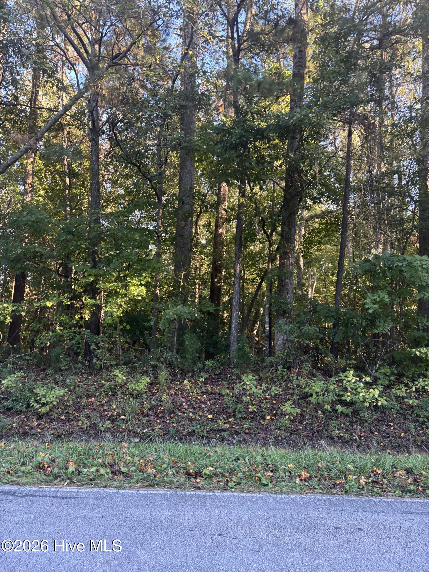 415 Old Pollocksville Road Property Photo 1