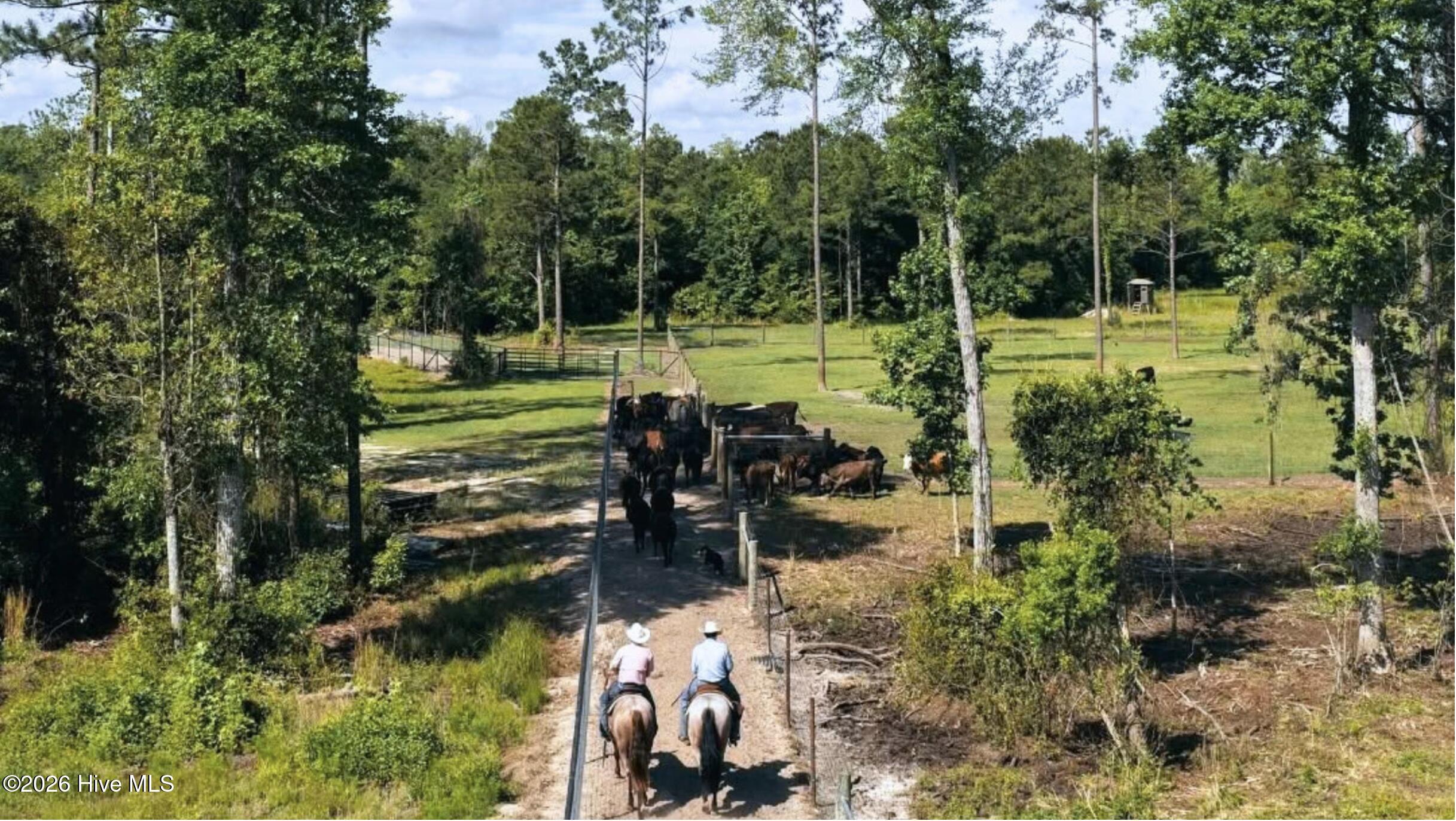 4a Cattle Drive Property Photo 6