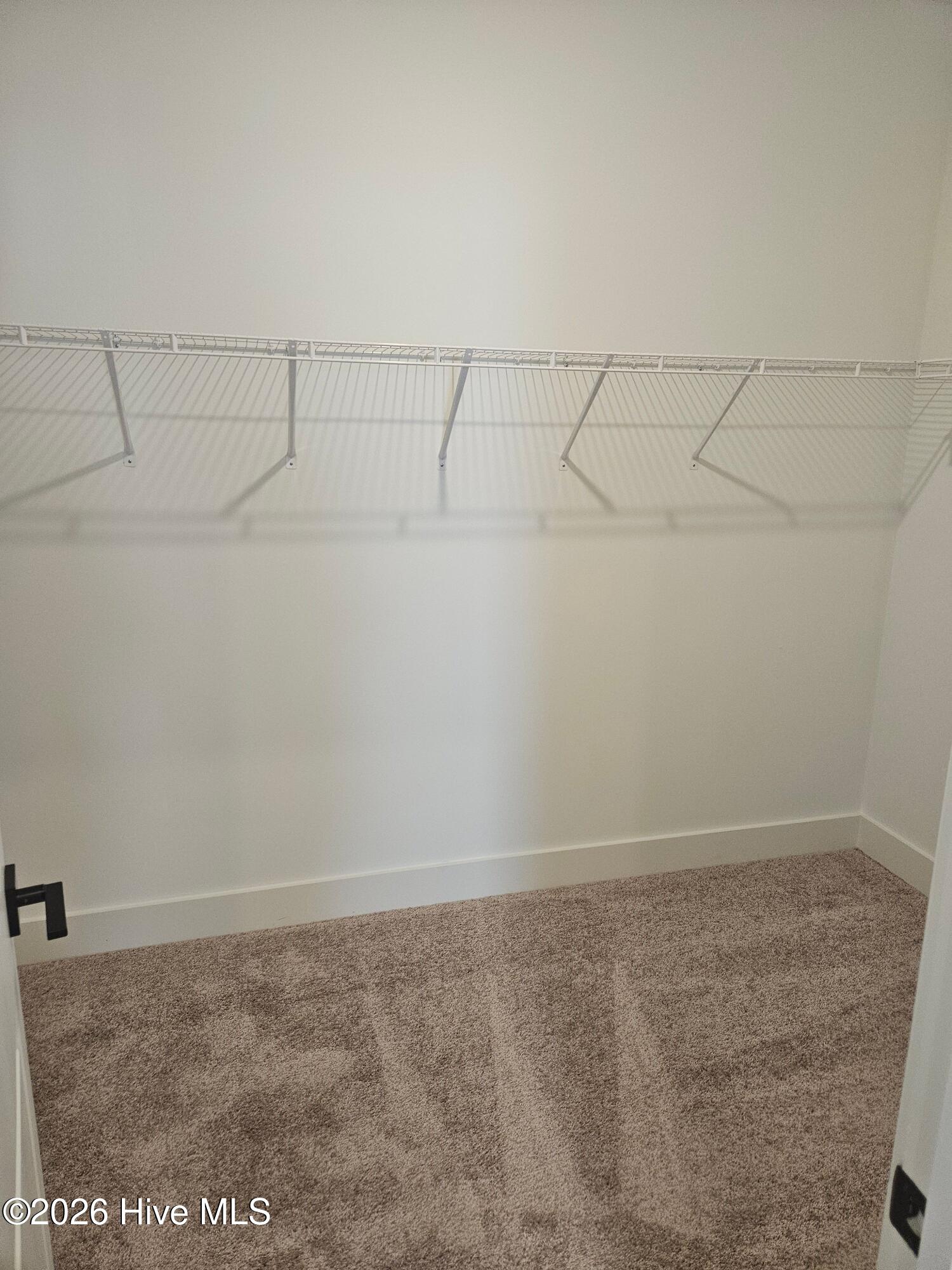 210 S Umbrella Palm Drive Property Photo 17