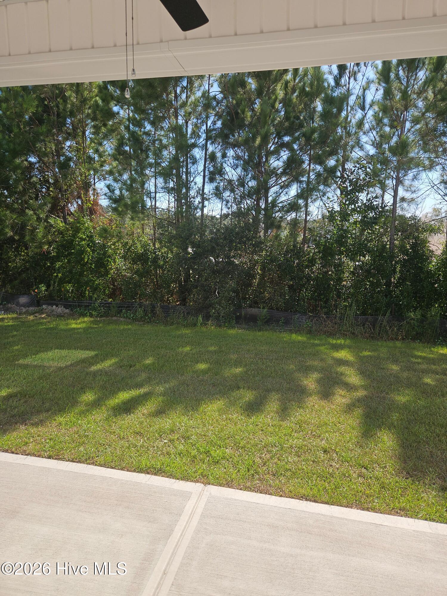 210 S Umbrella Palm Drive Property Photo 24