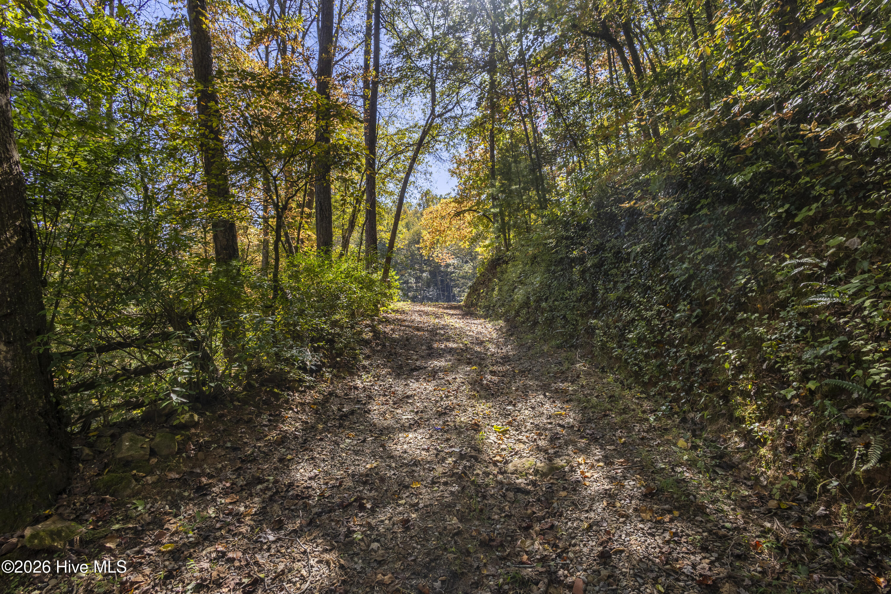 8455 Joe Brown Highway Property Photo 7
