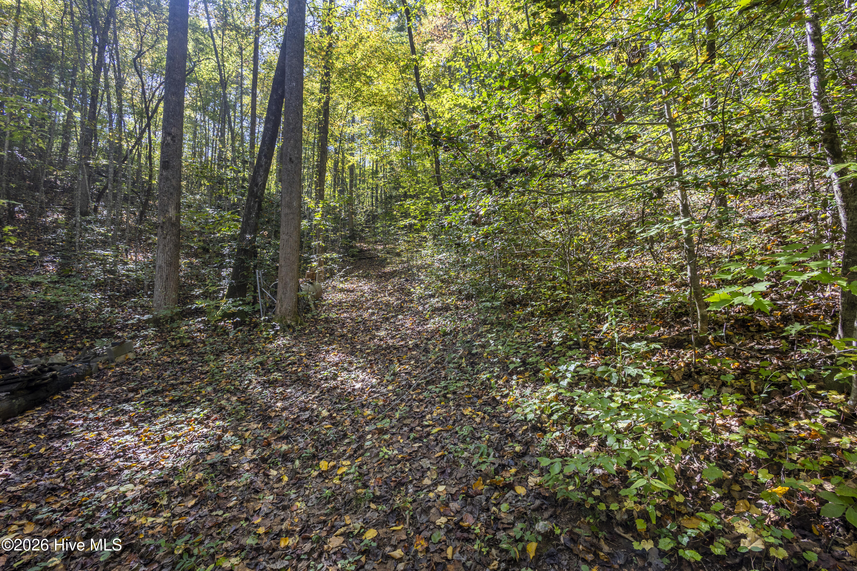 8455 Joe Brown Highway Property Photo 28