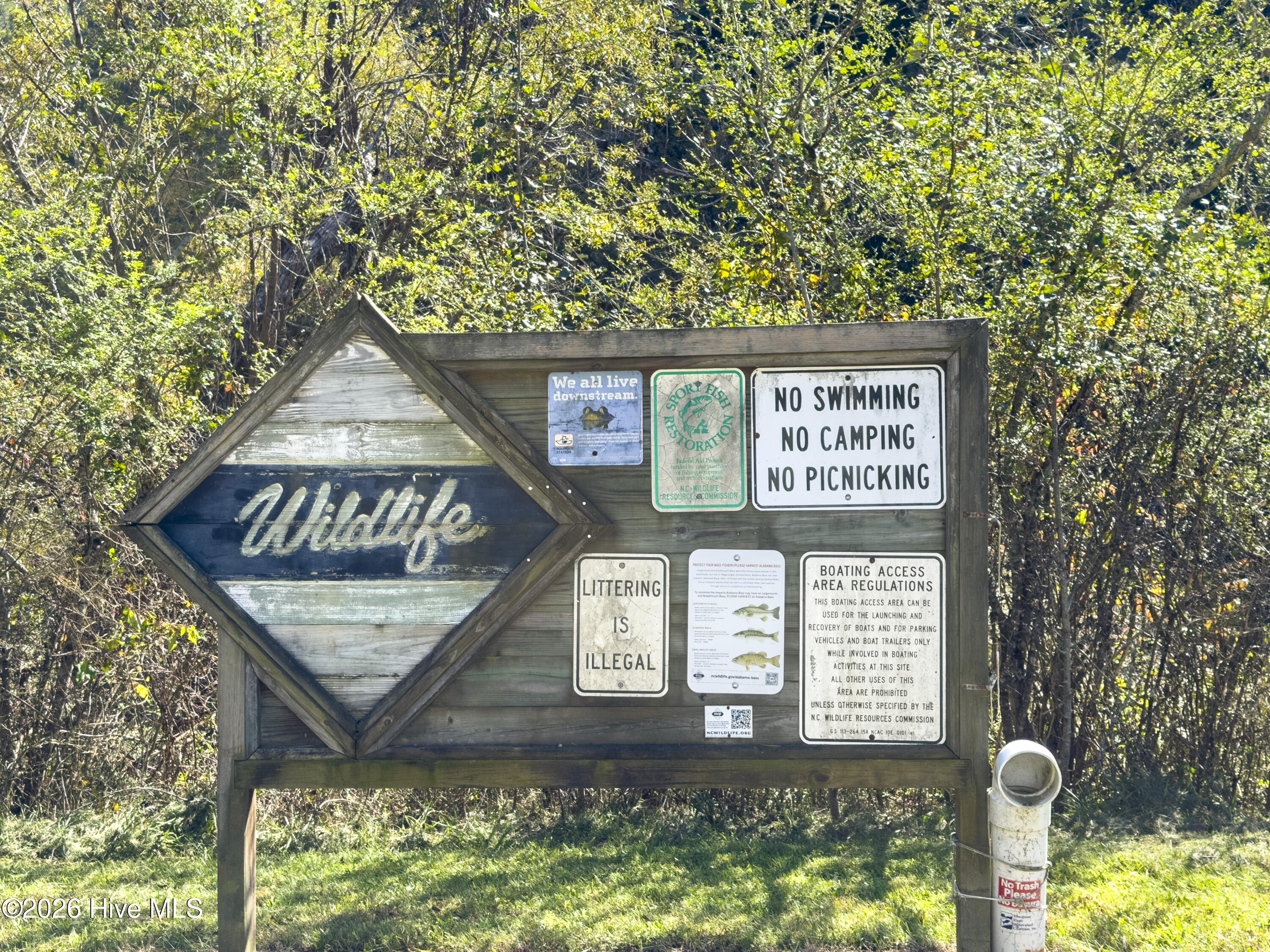 8455 Joe Brown Highway Property Photo 37