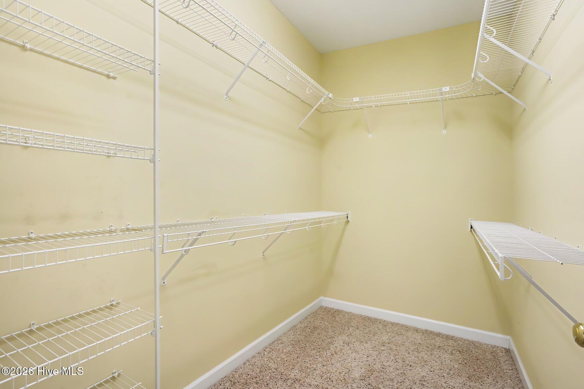 786 Foxtail Drive Property Photo 21