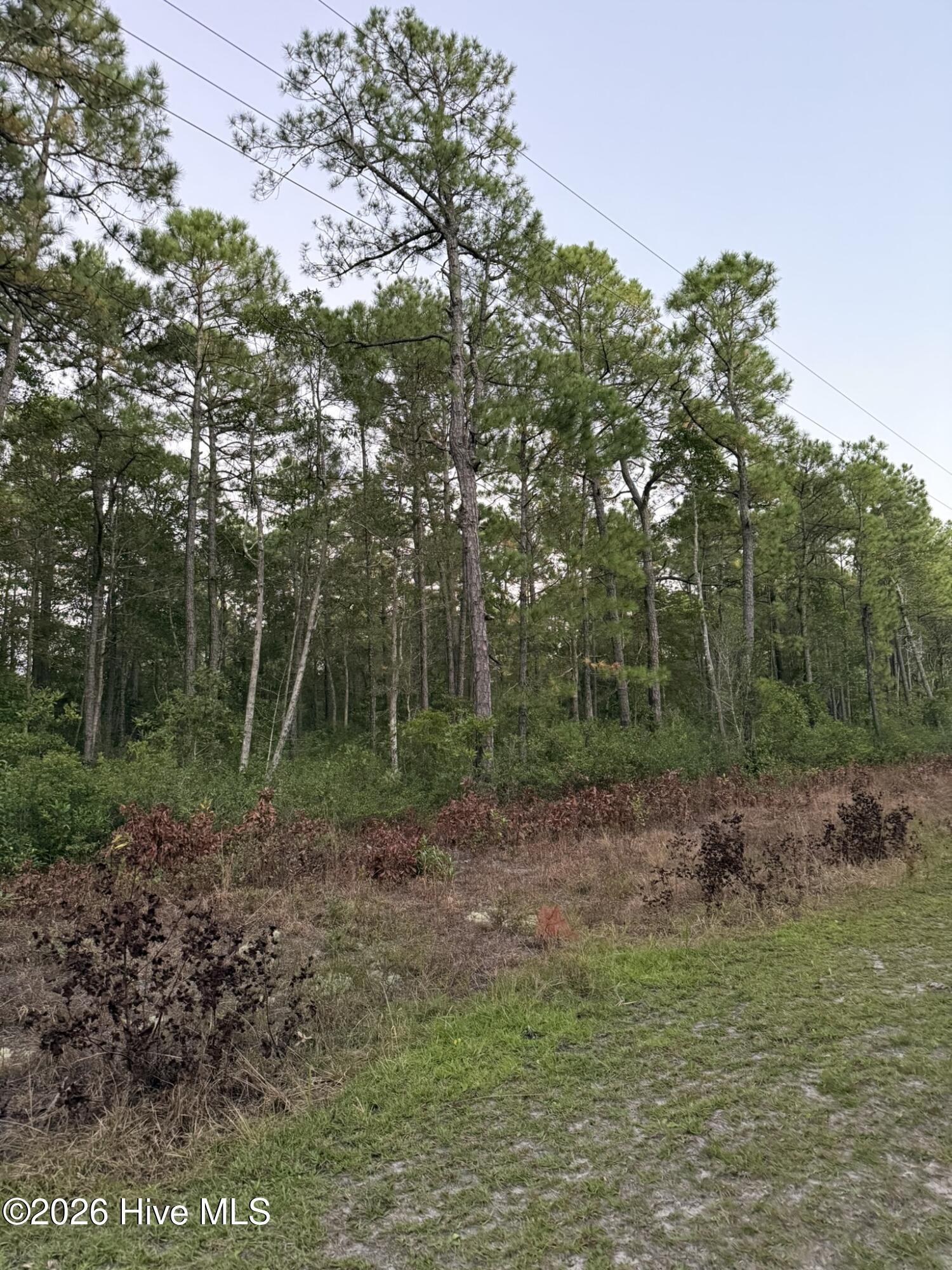 1603 10 Breezeway Drive Sw Property Photo 2