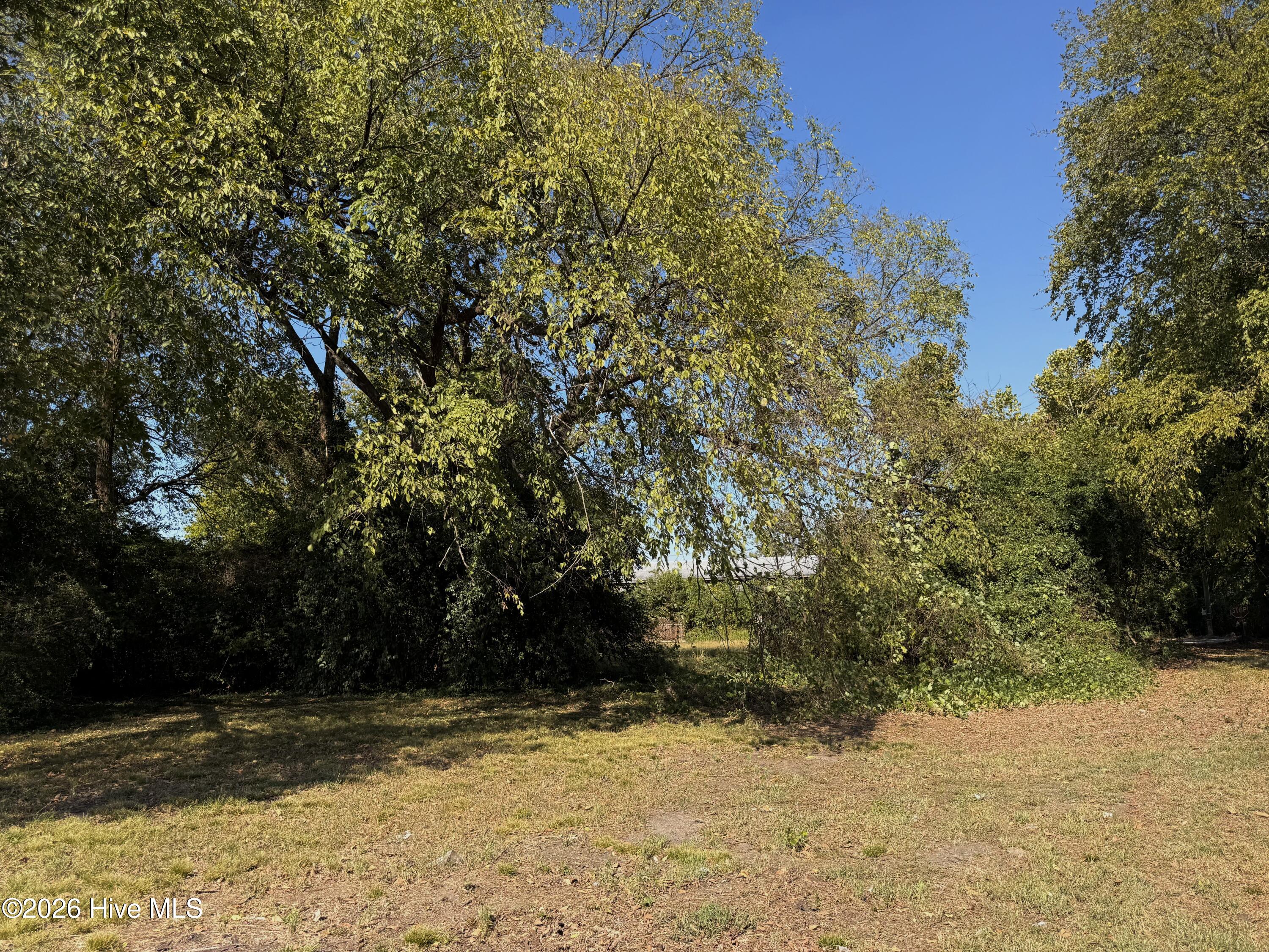 0 S Carolina Street Property Photo 8