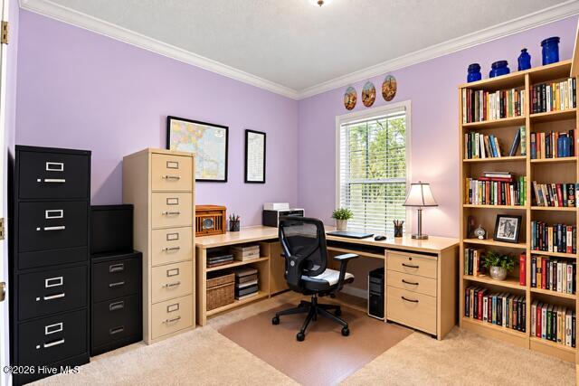 7741 Crady Court Property Photo 8