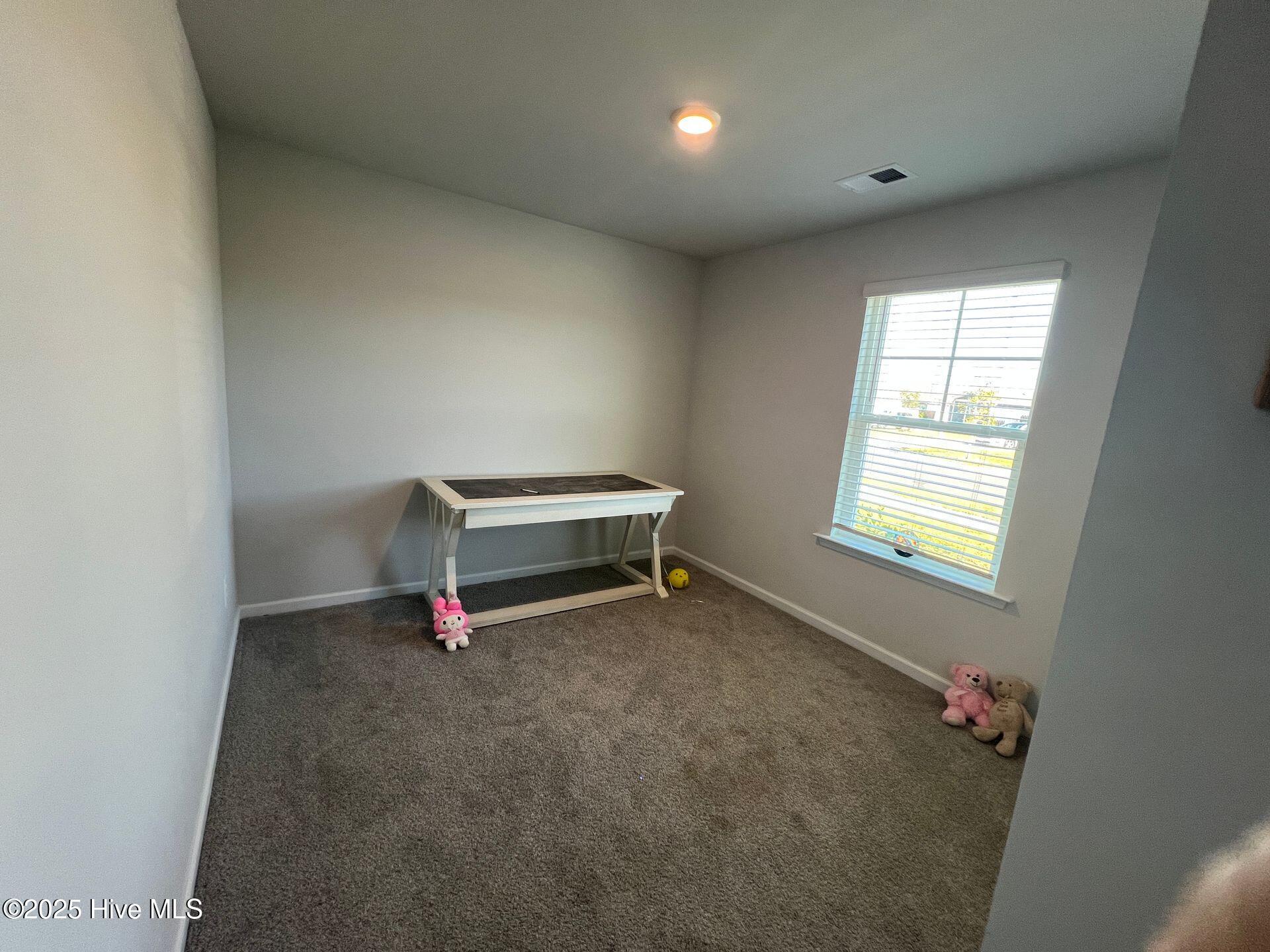 115 Cleat Drive Property Photo 24