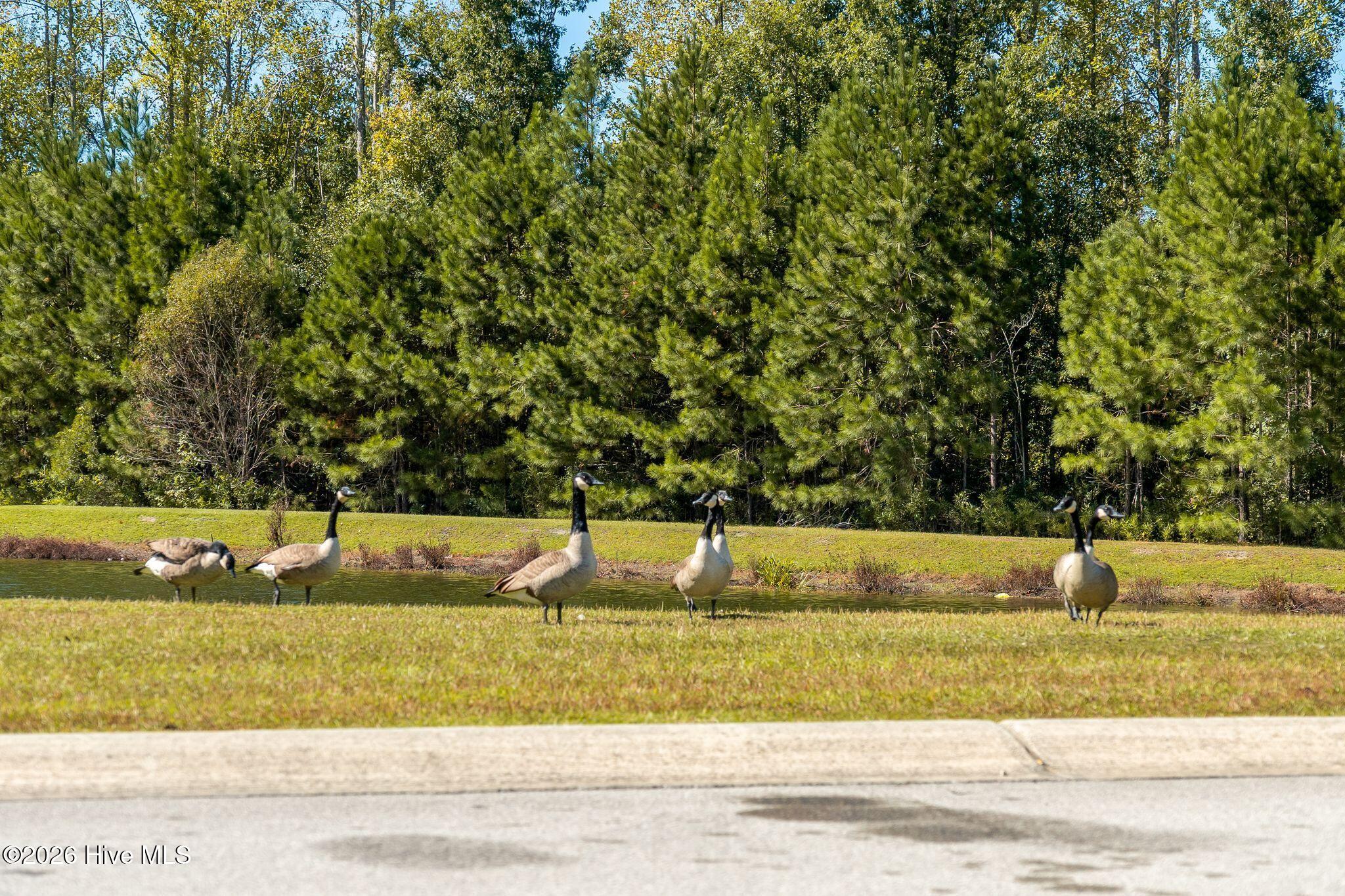 870 Faithful Way Property Photo 30