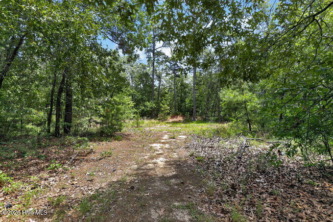 1030 Stubby Oaks Road Property Photo 30