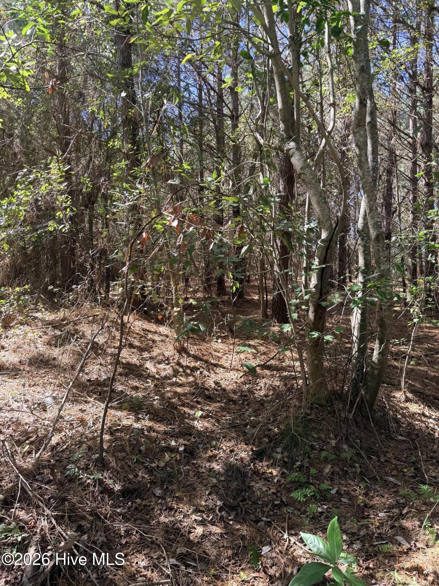 Near 523 Culbreth Smith Road Property Photo 10