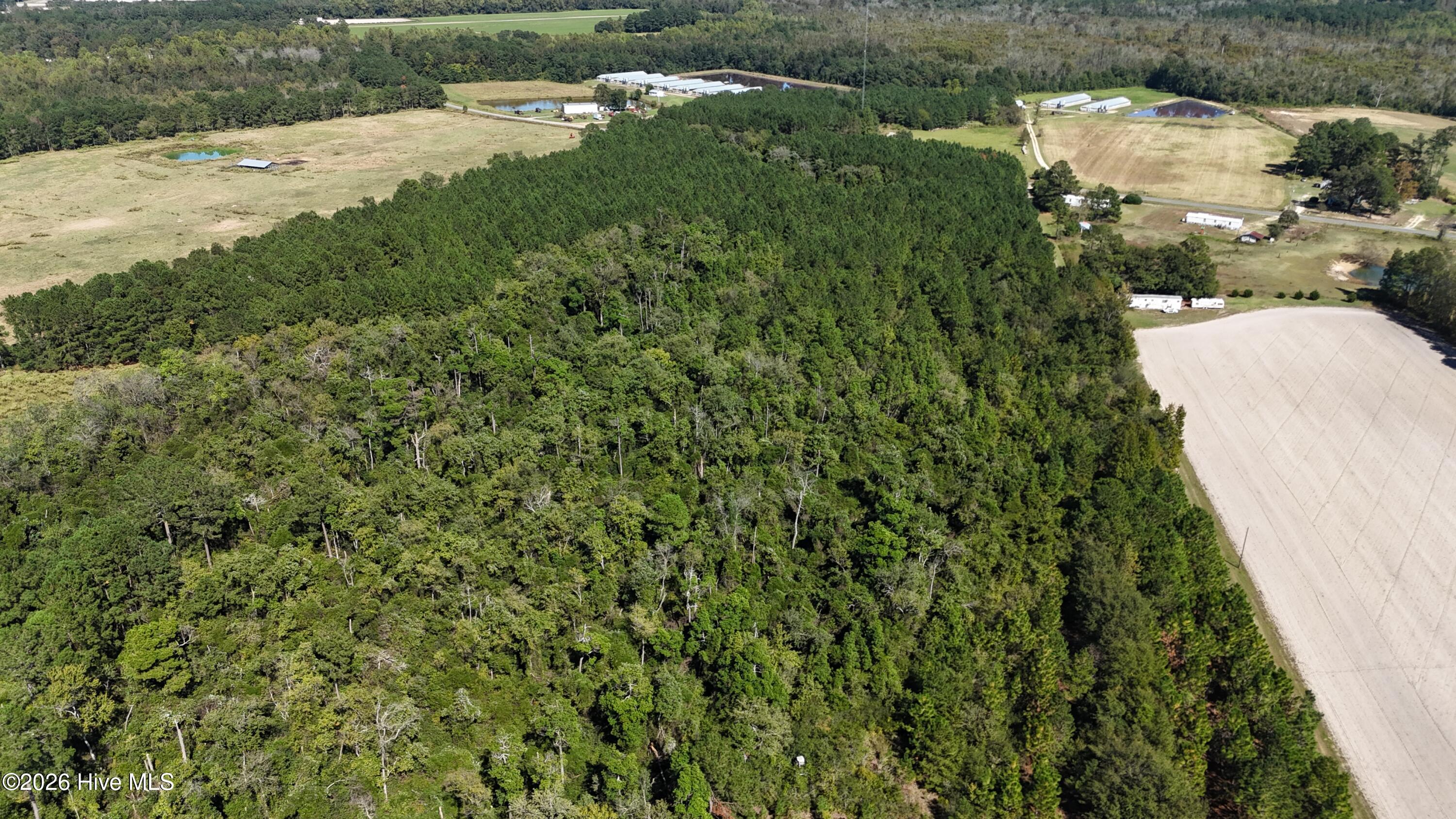 Near 523 Culbreth Smith Road Property Photo 25
