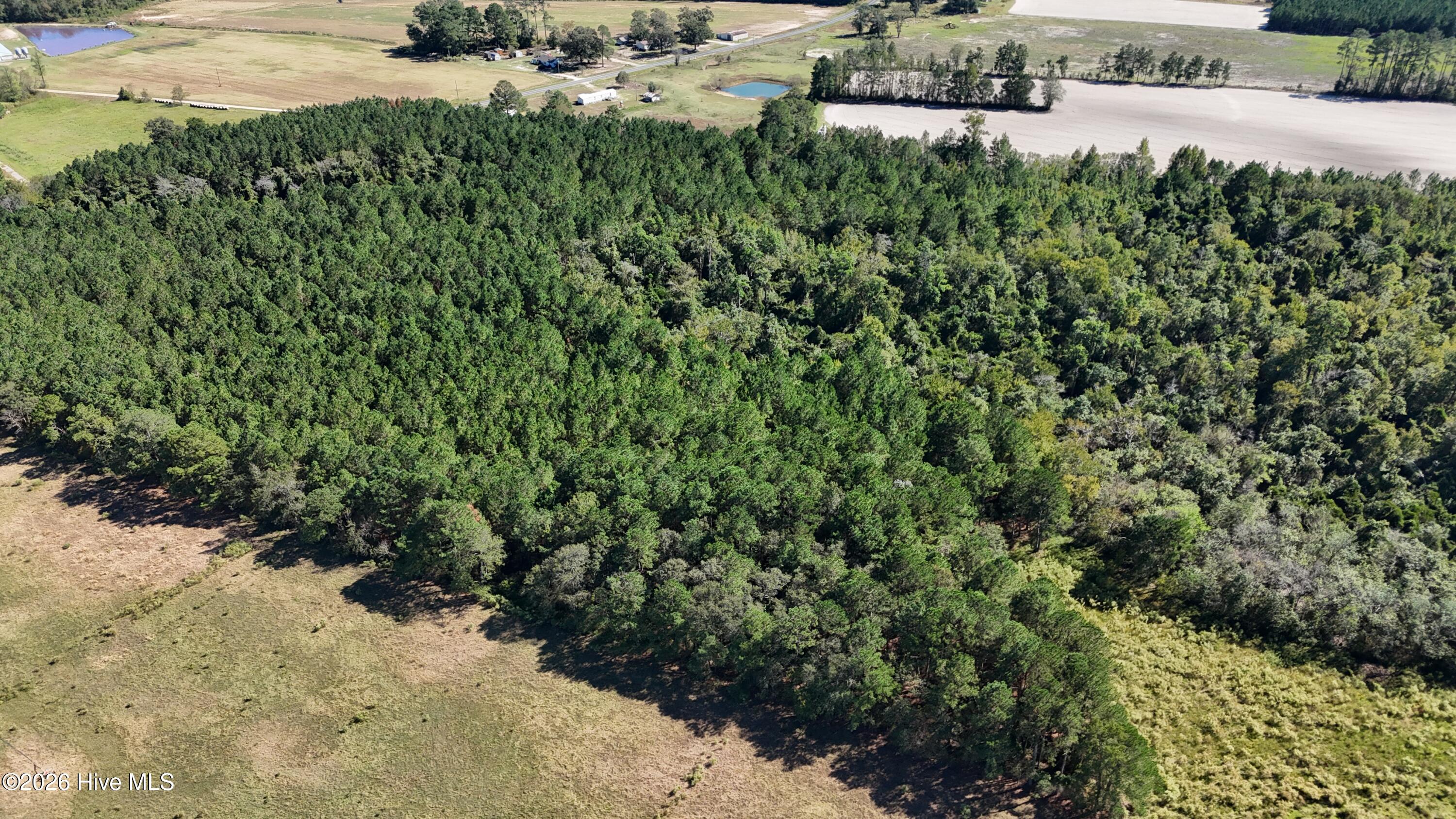Near 523 Culbreth Smith Road Property Photo 30