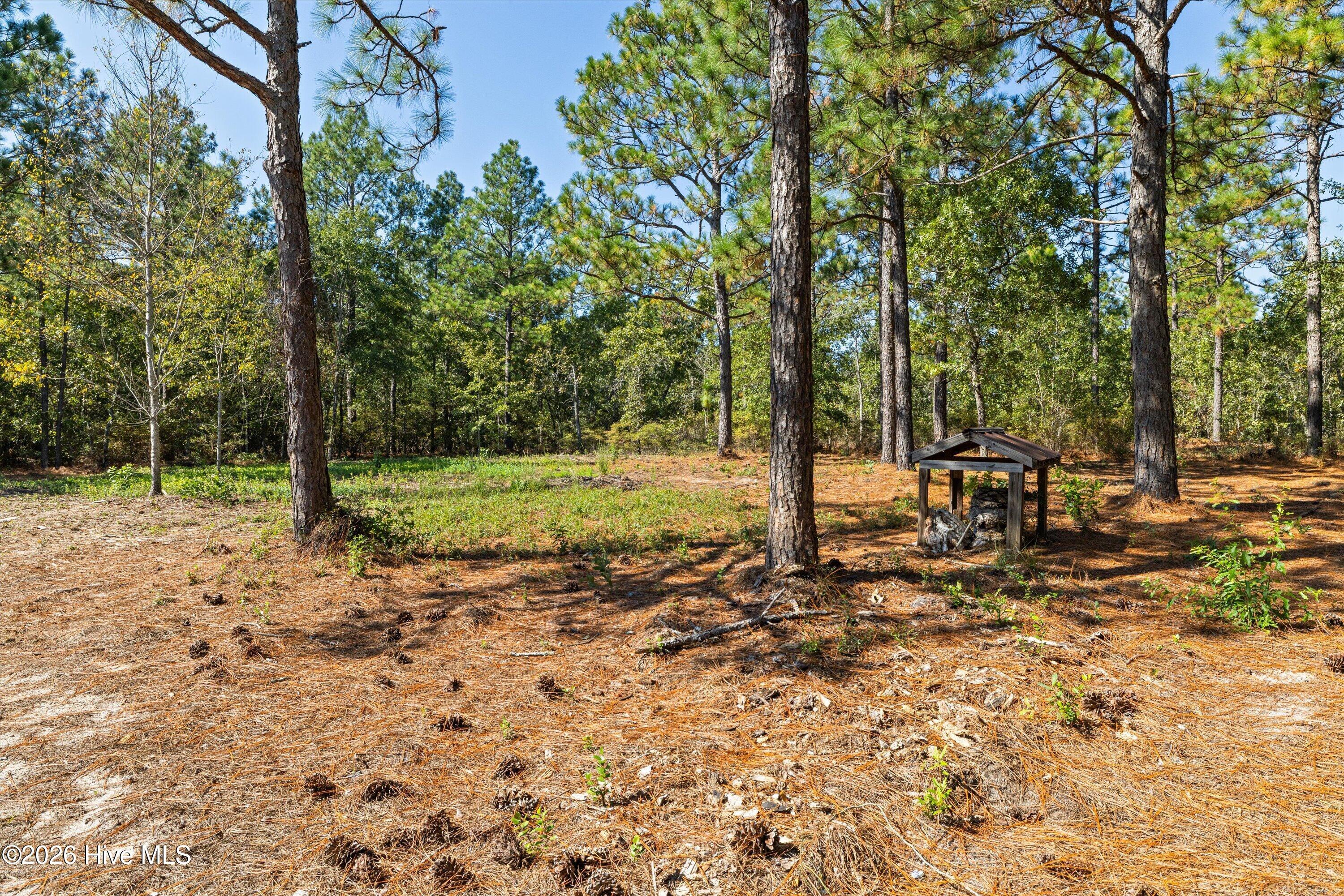 34 Starling Court Property Photo 64