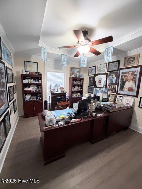 138 Trestle Street Property Photo 19